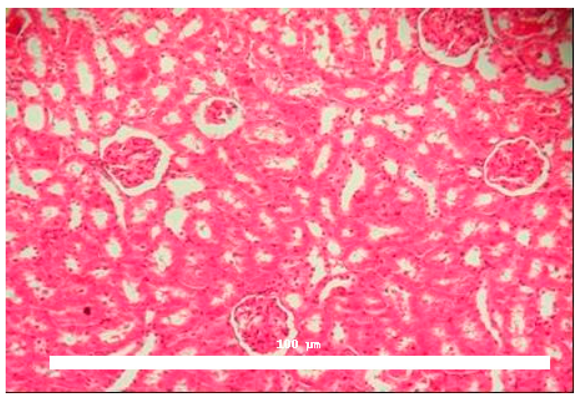 Toxins 17 00363 g002