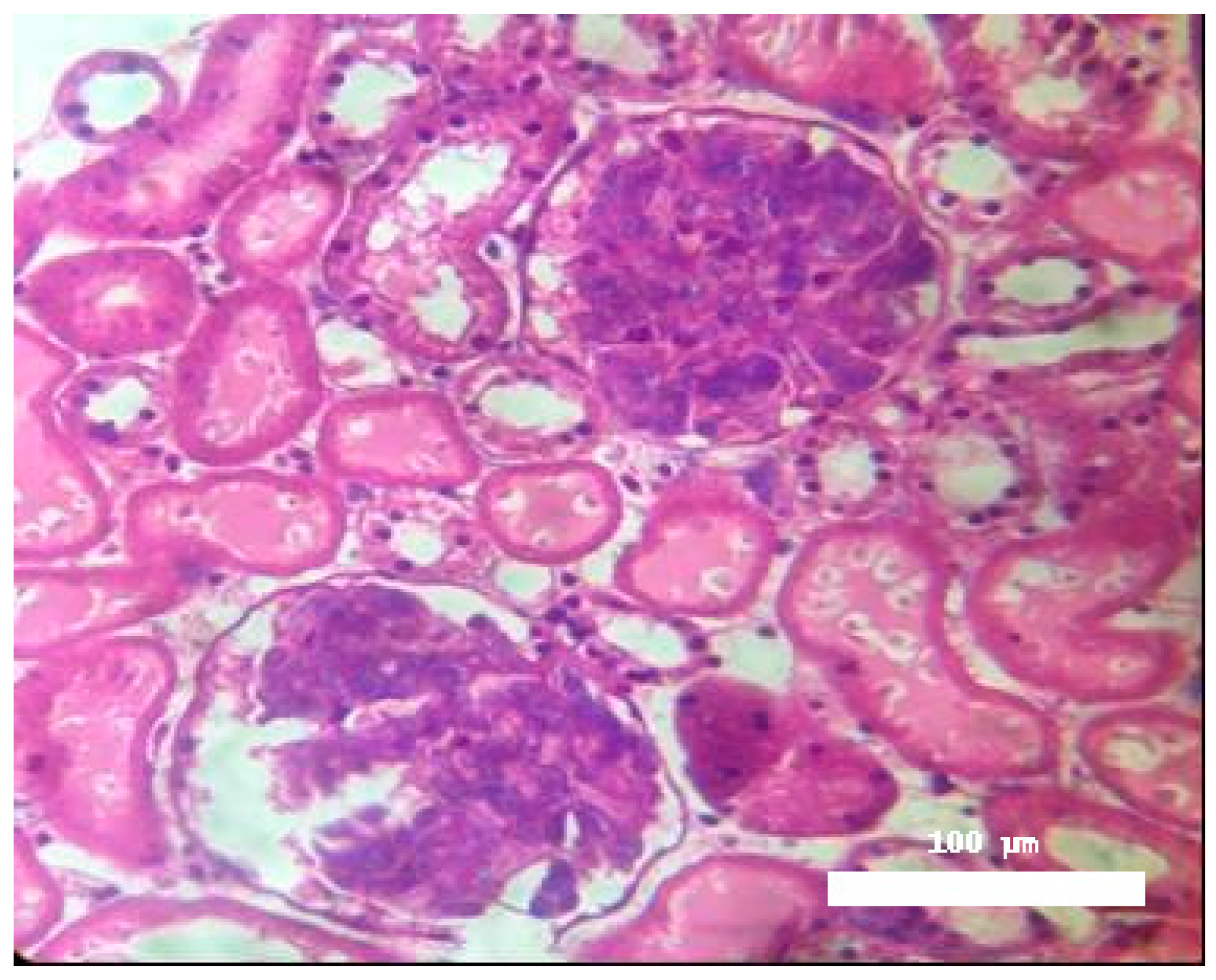 Toxins 17 00363 g003