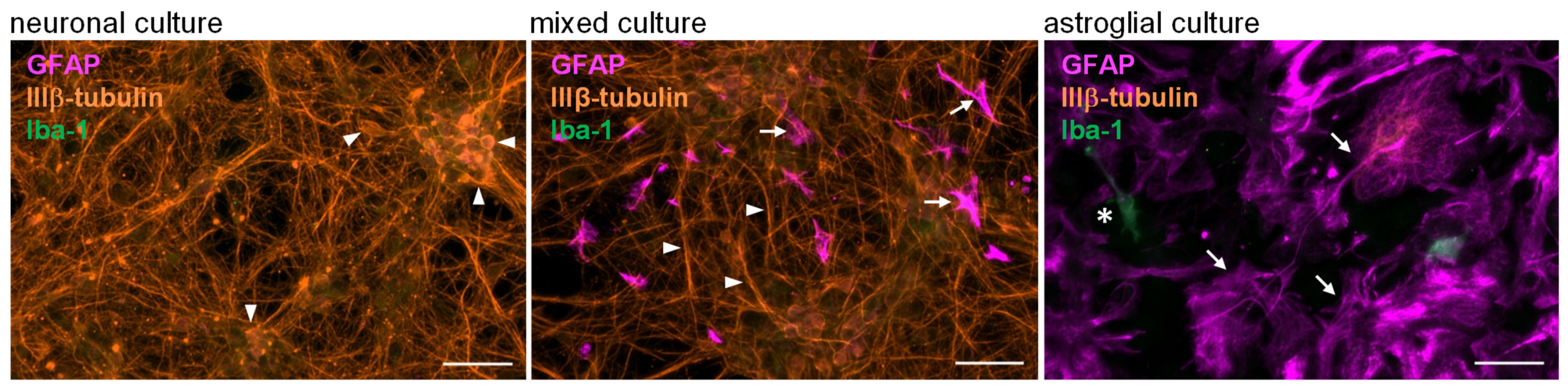 Toxins 17 00368 g001 Toxins 17 00368 g001