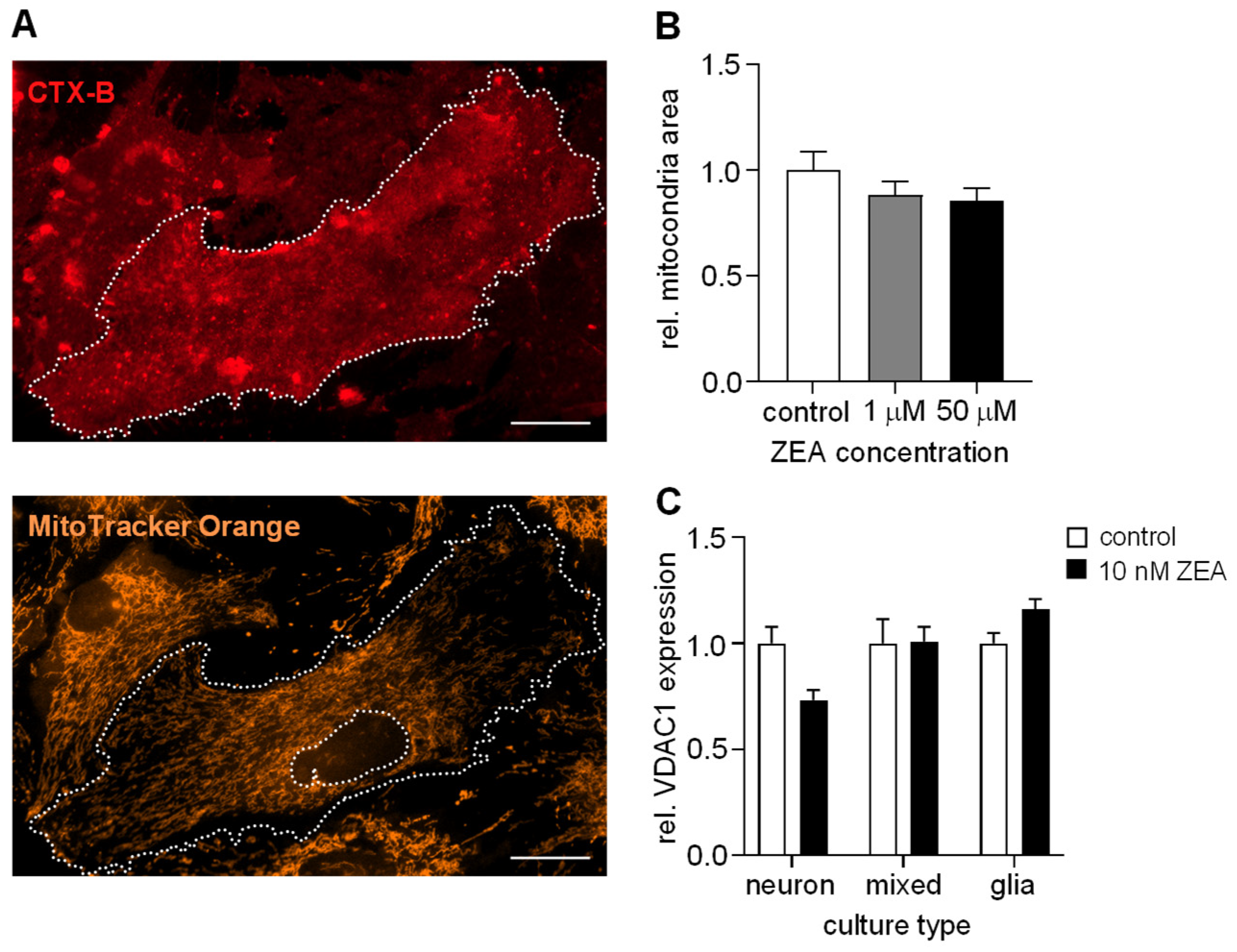 Toxins 17 00368 g005 Toxins 17 00368 g005