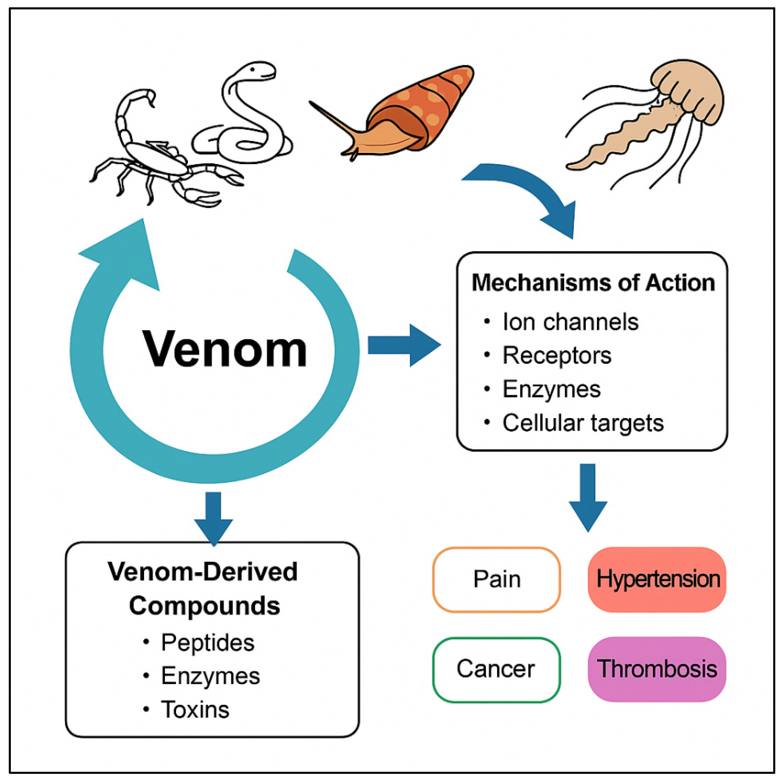 Toxins 17 00371 g001