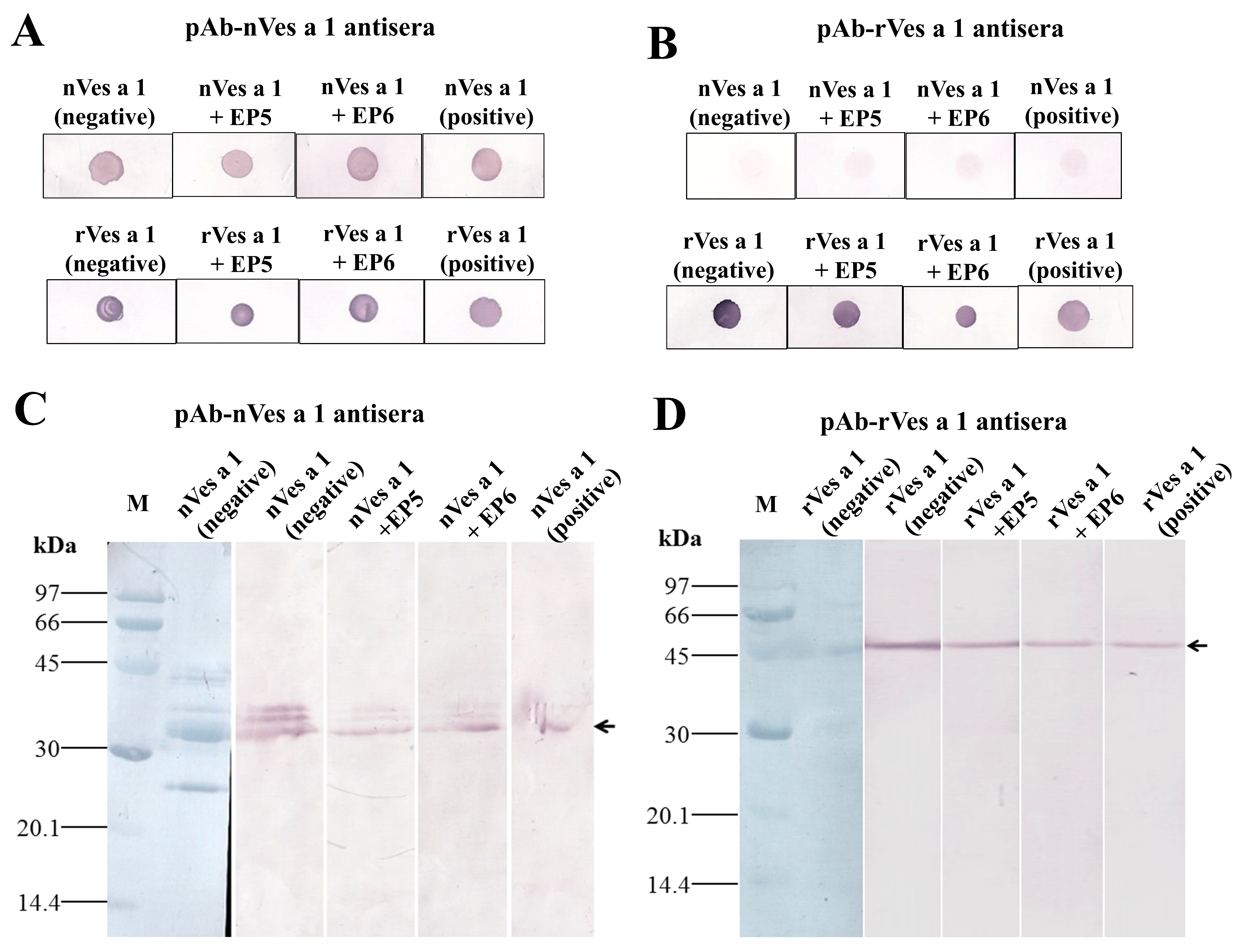 Toxins 17 00373 g004 Toxins 17 00373 g004