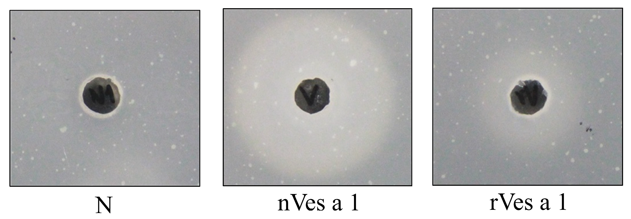 Toxins 17 00373 g005 Toxins 17 00373 g005