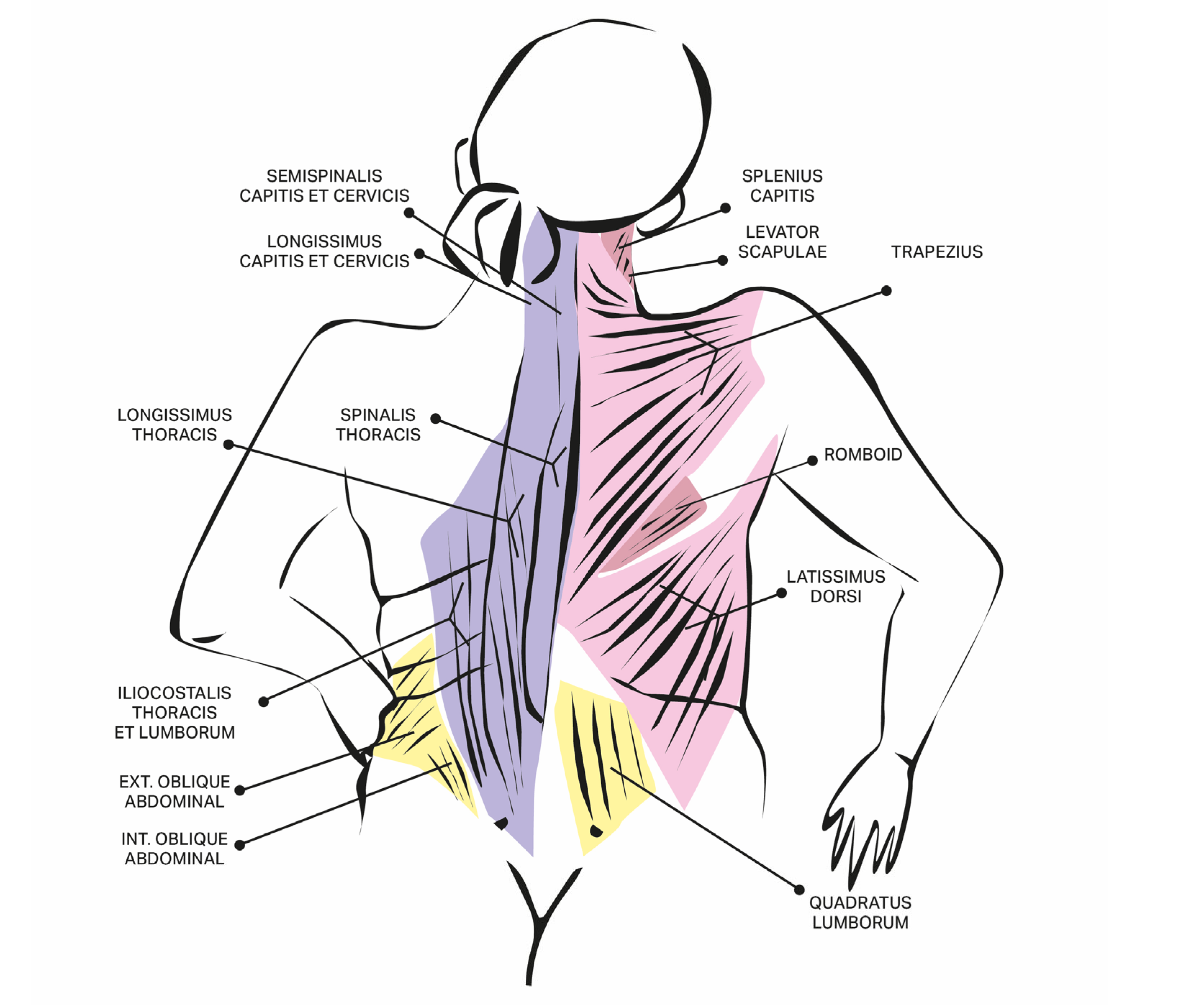Toxins 17 00375 g001a