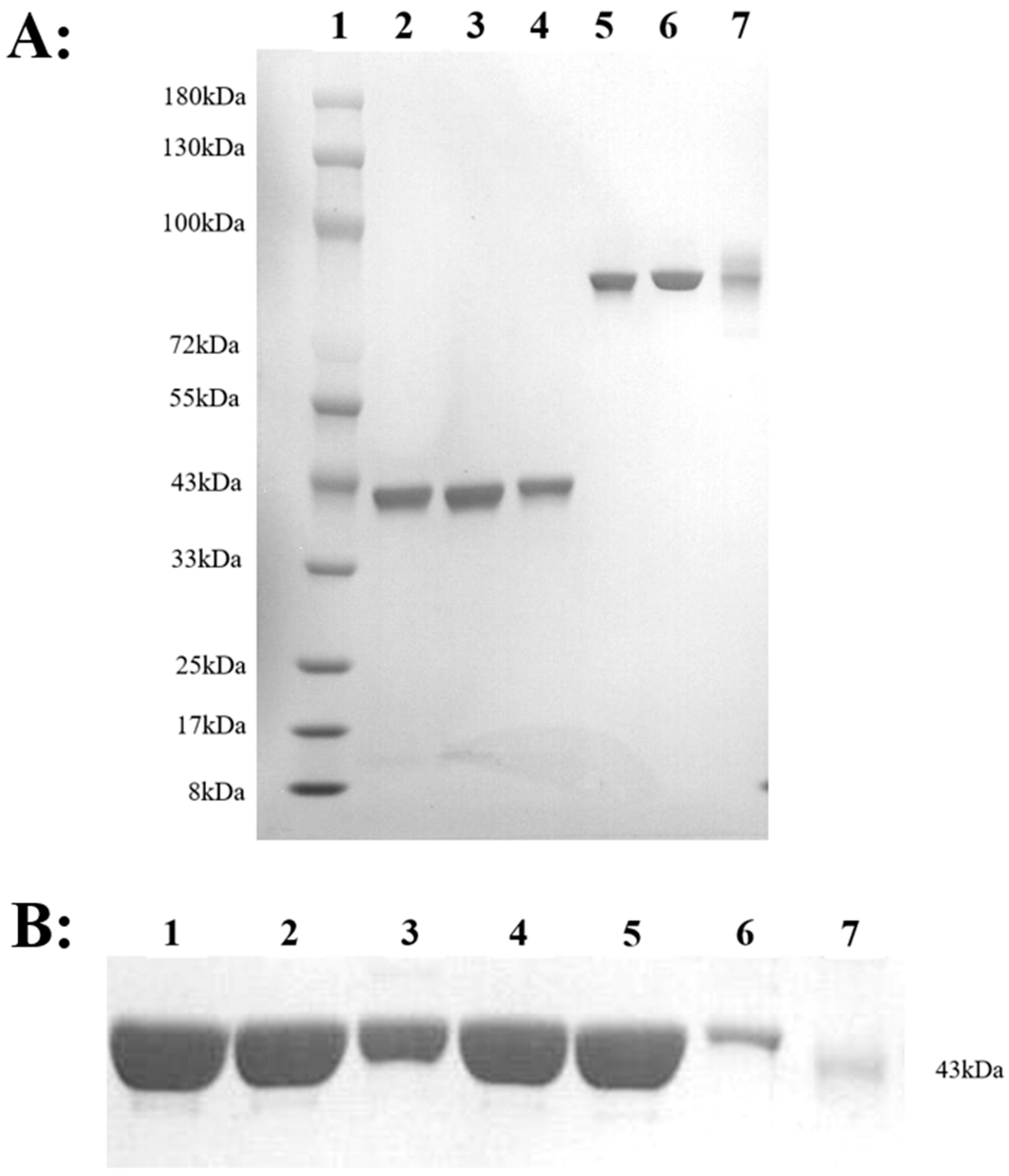 Toxins 17 00376 g006
