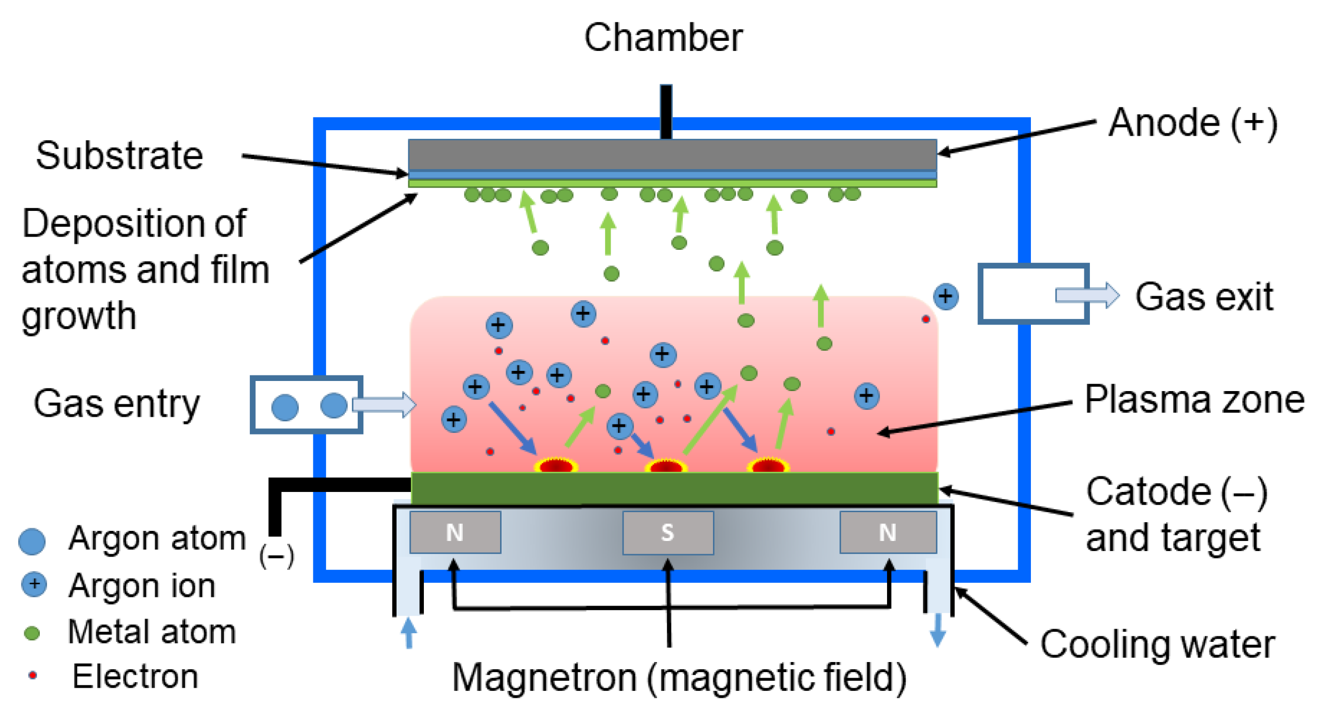 Toxins 17 00378 g005