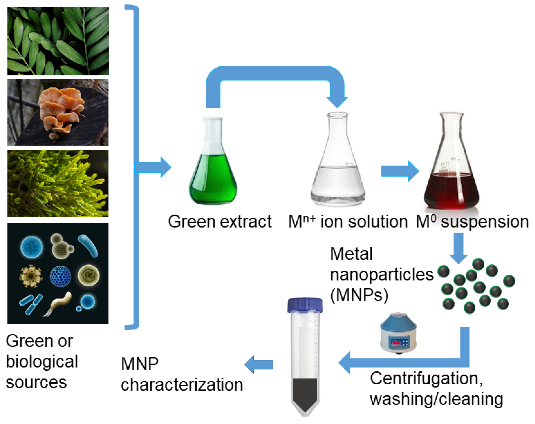 Toxins 17 00378 g009