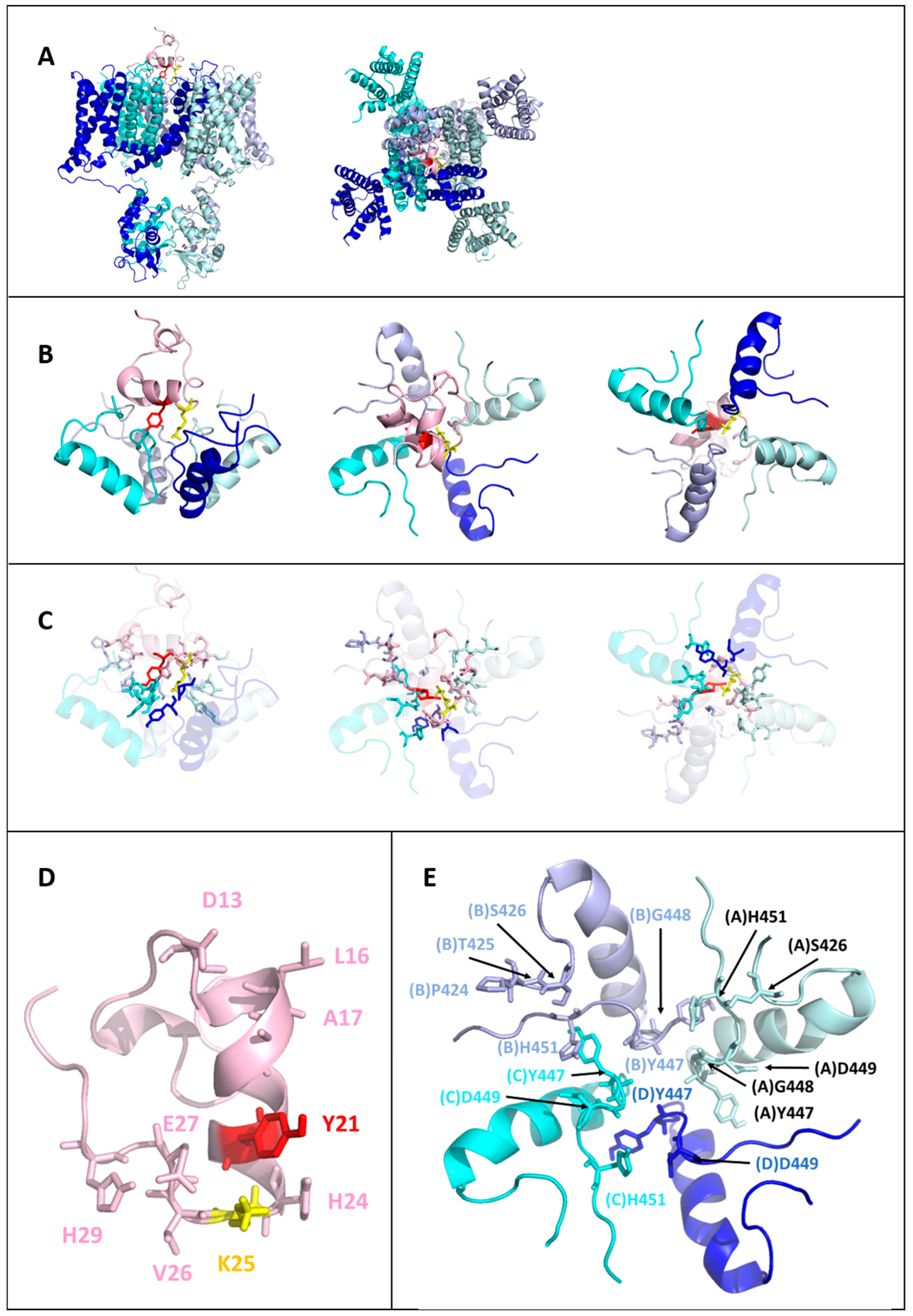 Toxins 17 00379 g005