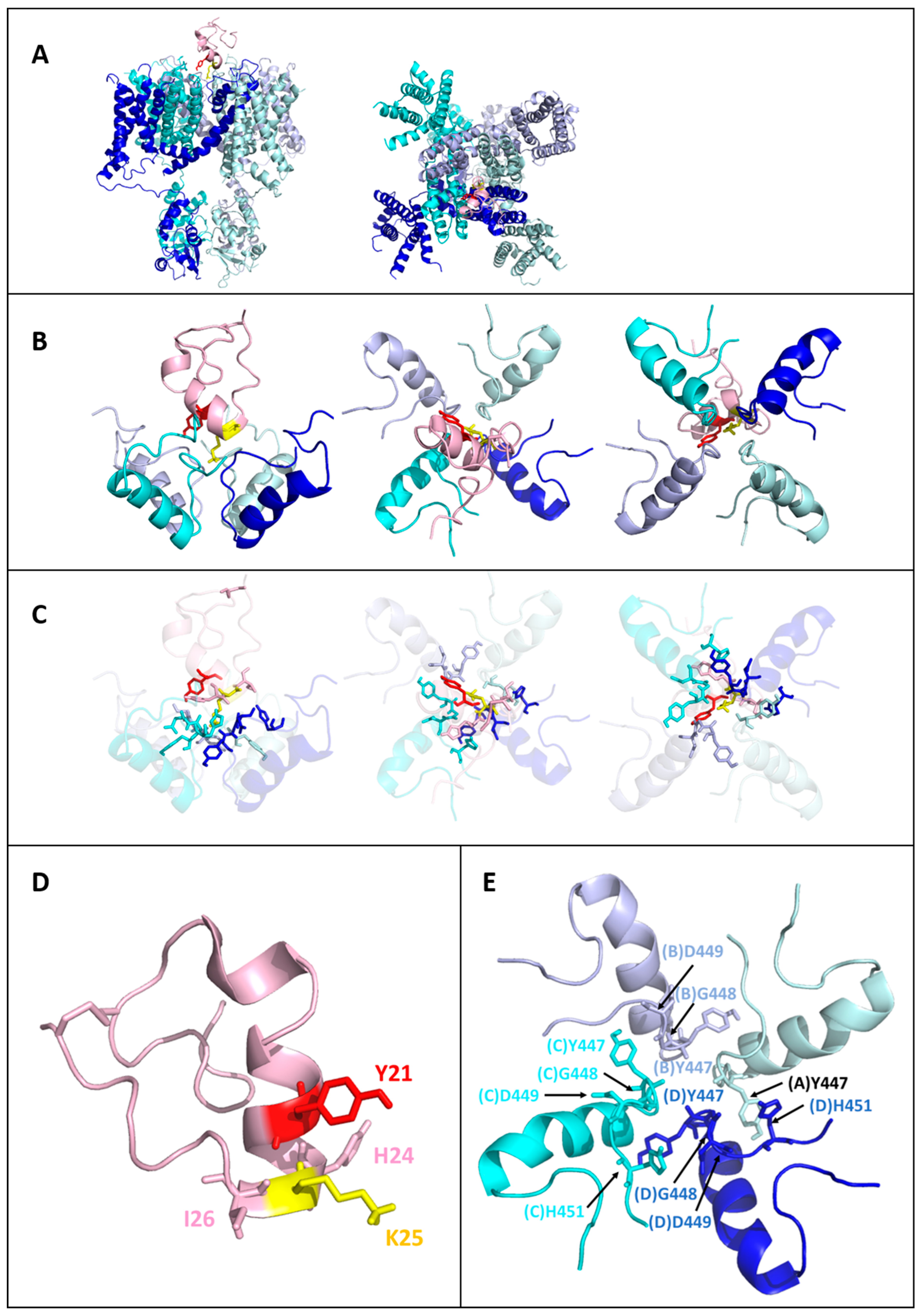 Toxins 17 00379 g006