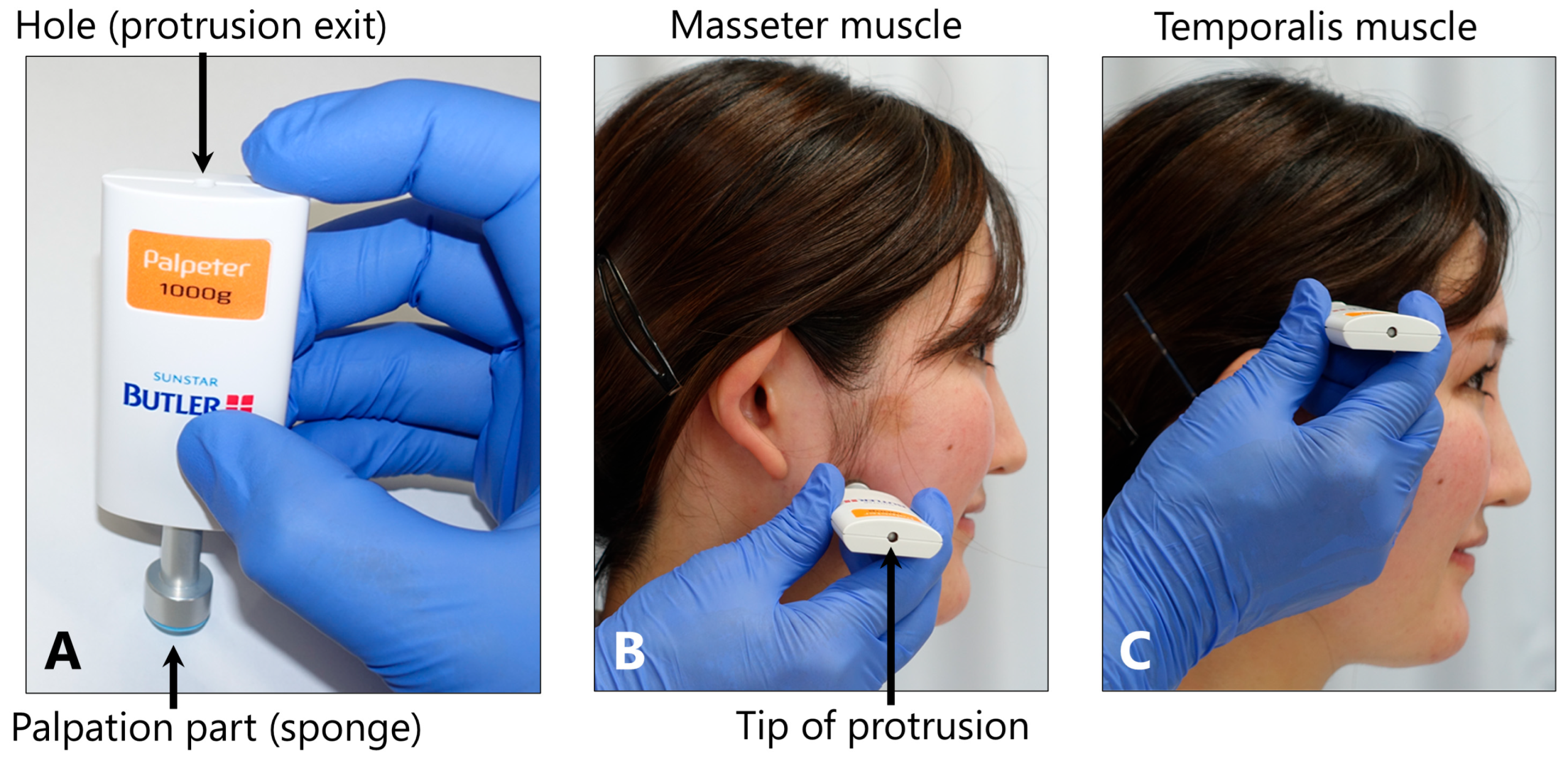 Toxins 17 00384 g013