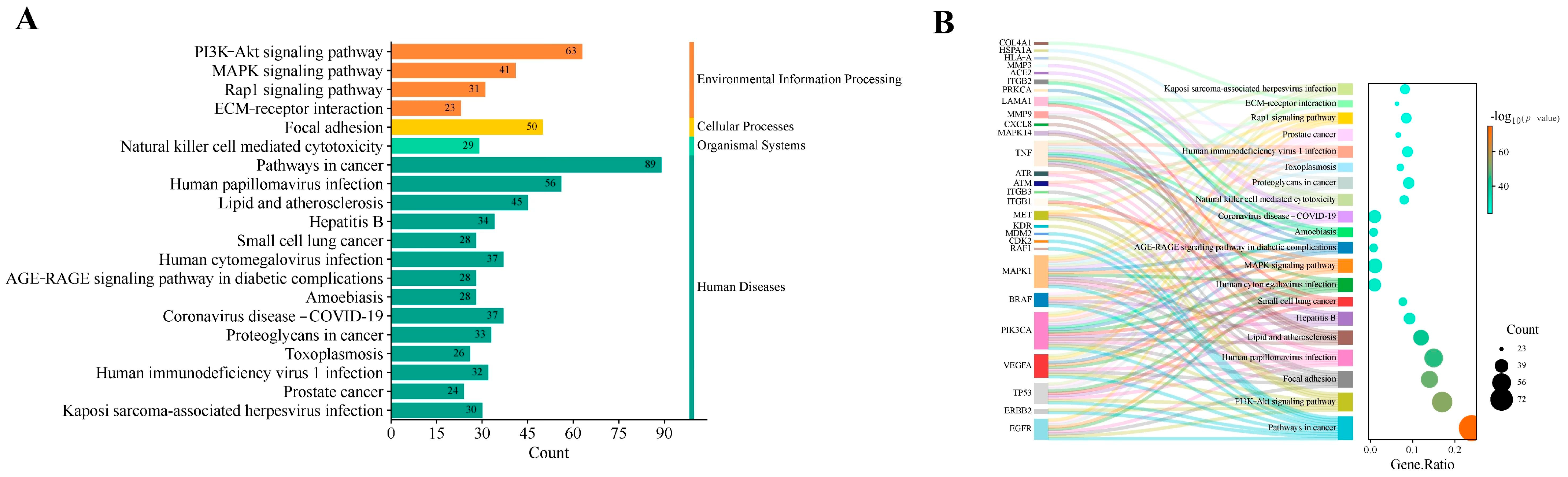 Toxins 17 00388 g005