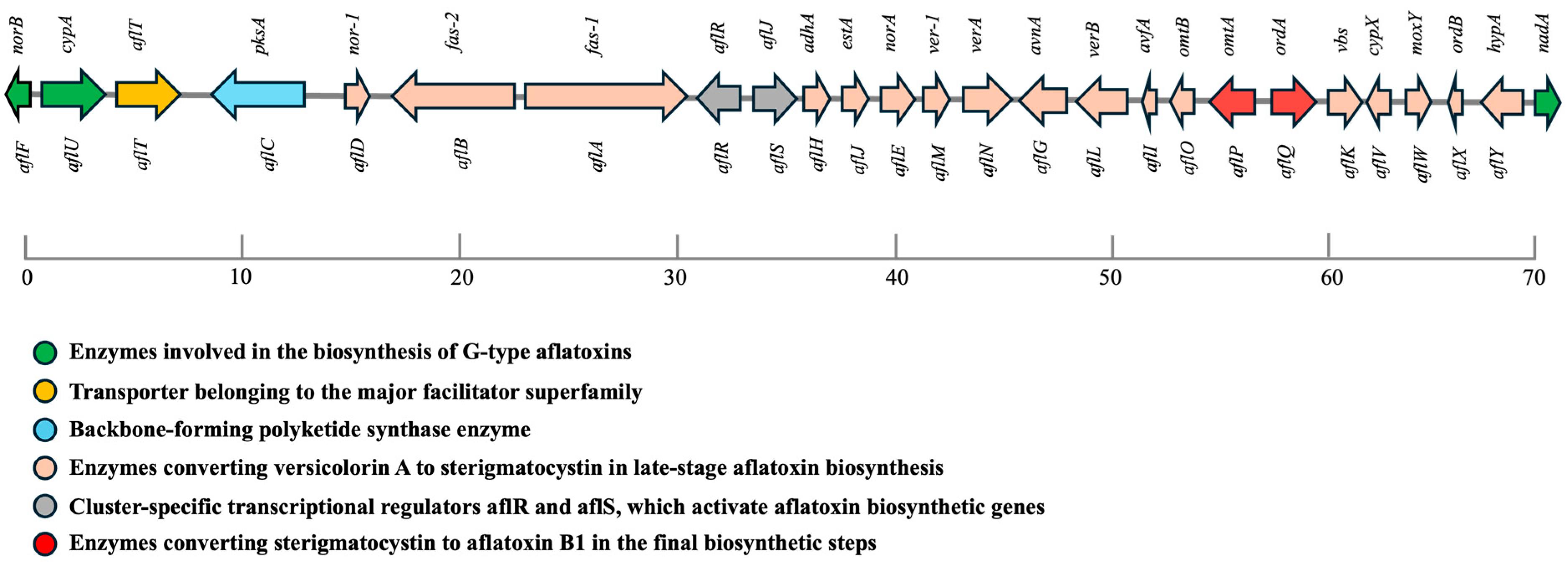 Toxins 17 00394 g001 Toxins 17 00394 g001