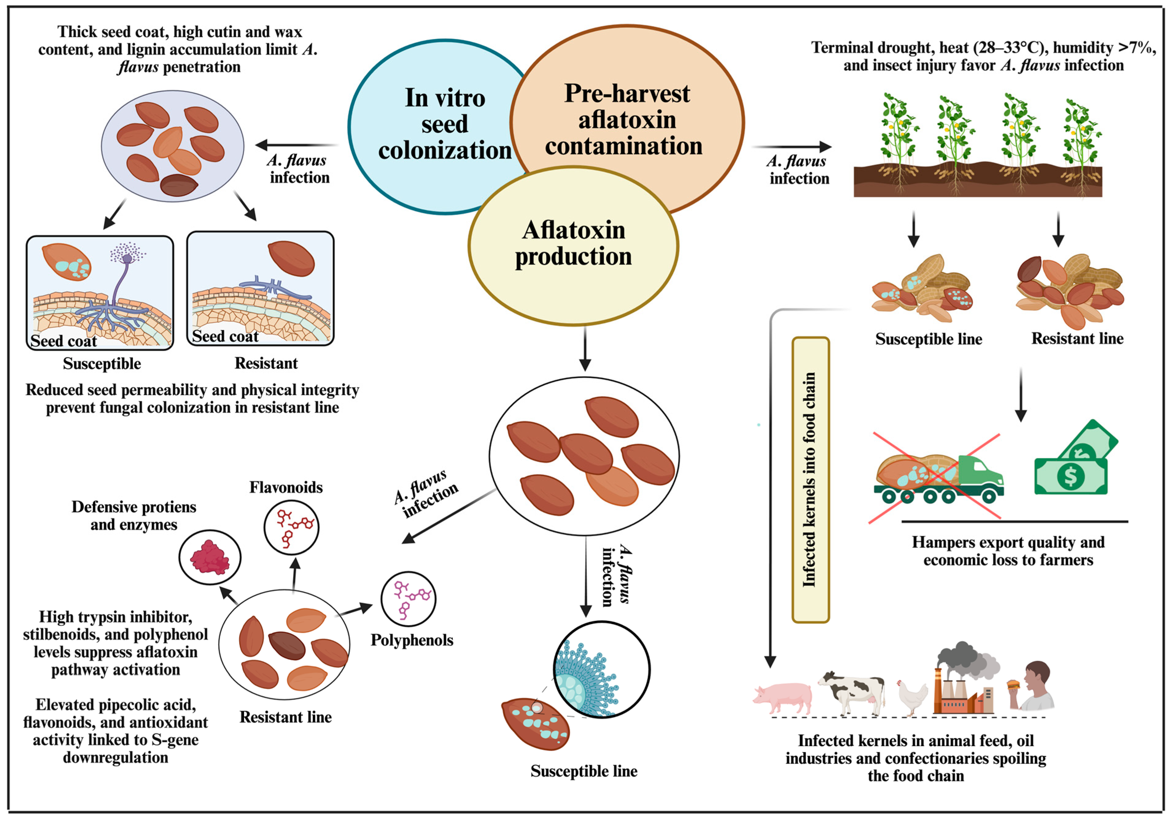 Toxins 17 00394 g002 Toxins 17 00394 g002