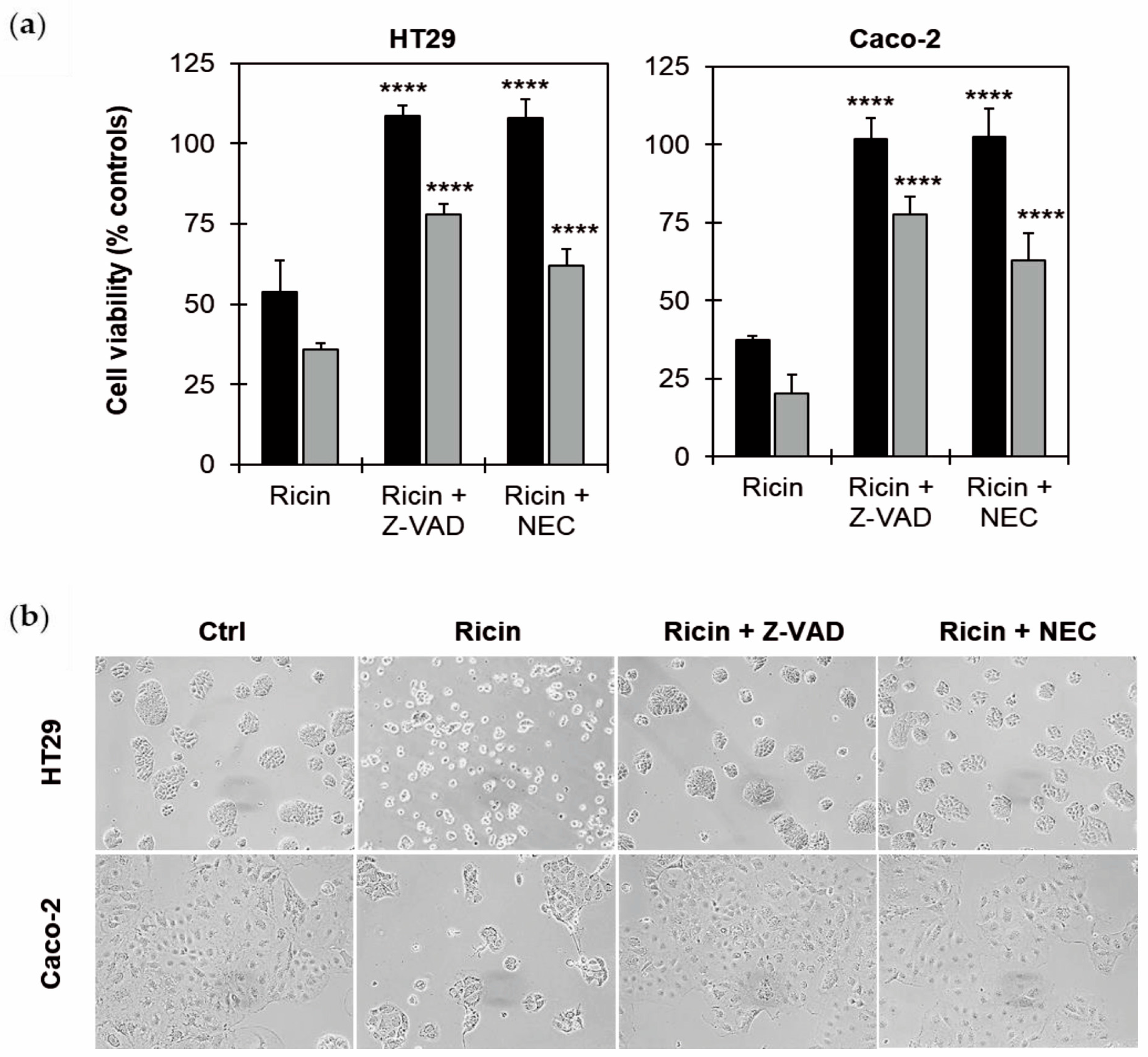 Toxins 17 00400 g004 Toxins 17 00400 g004