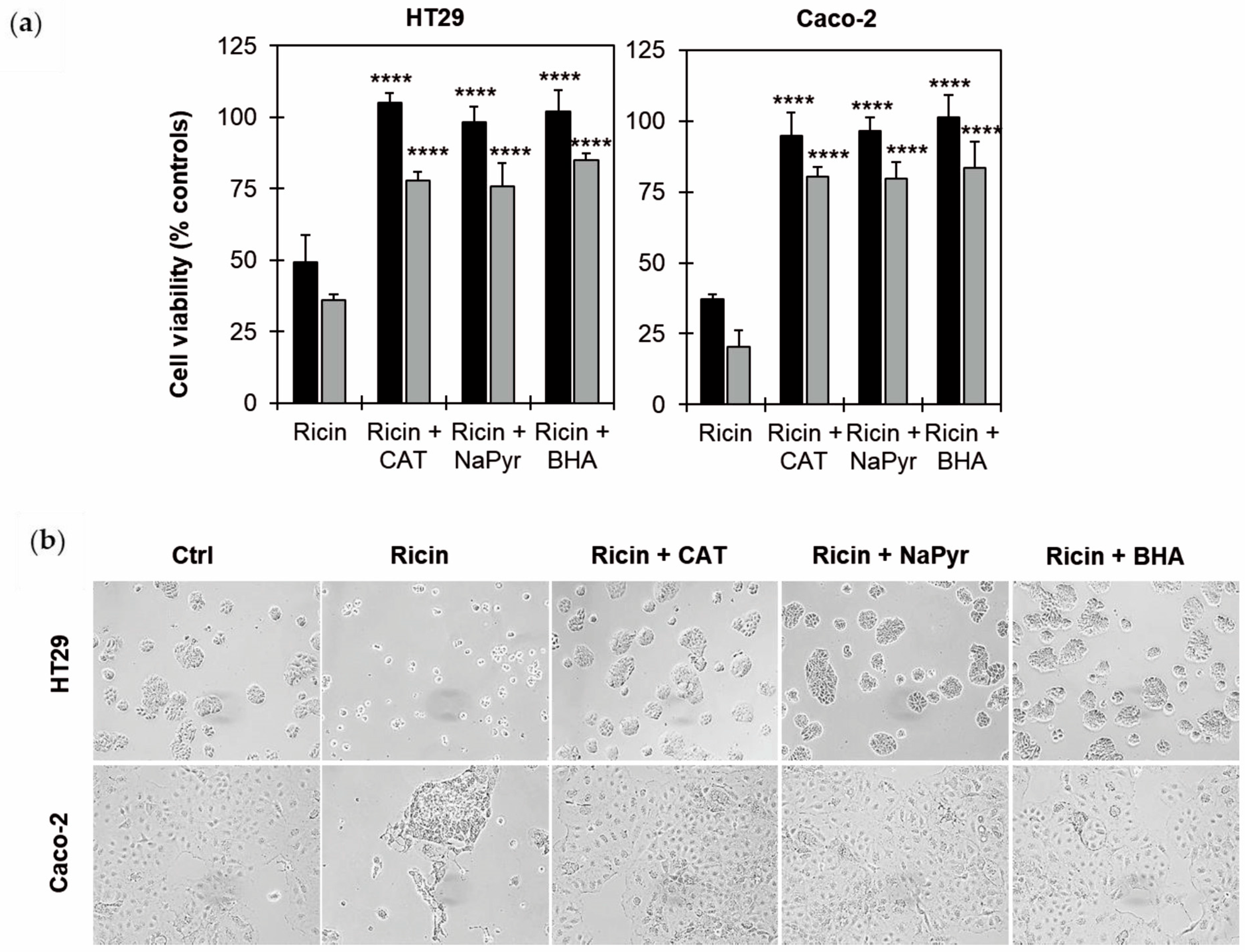 Toxins 17 00400 g005 Toxins 17 00400 g005