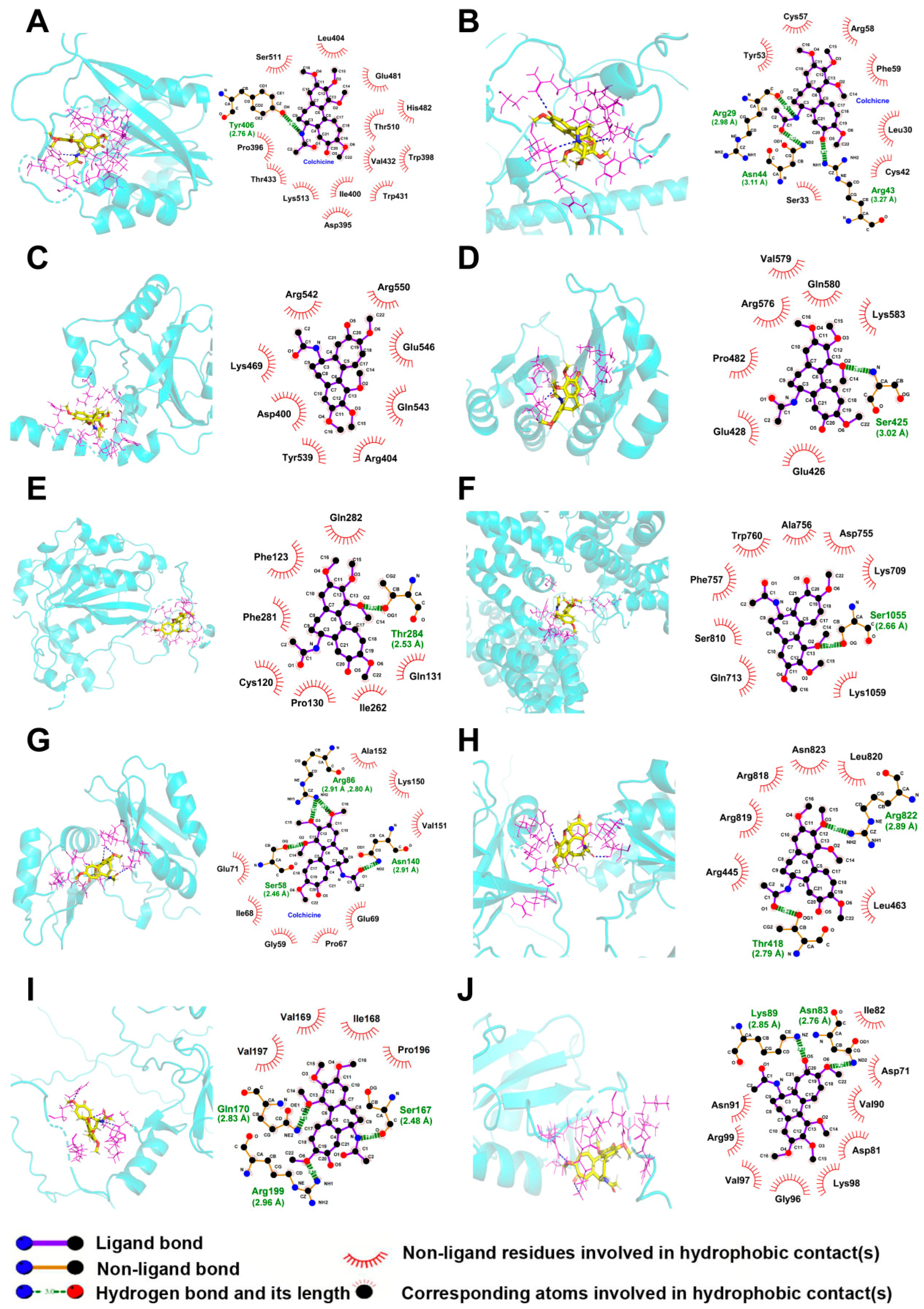 Toxins 17 00408 g008 Toxins 17 00408 g008