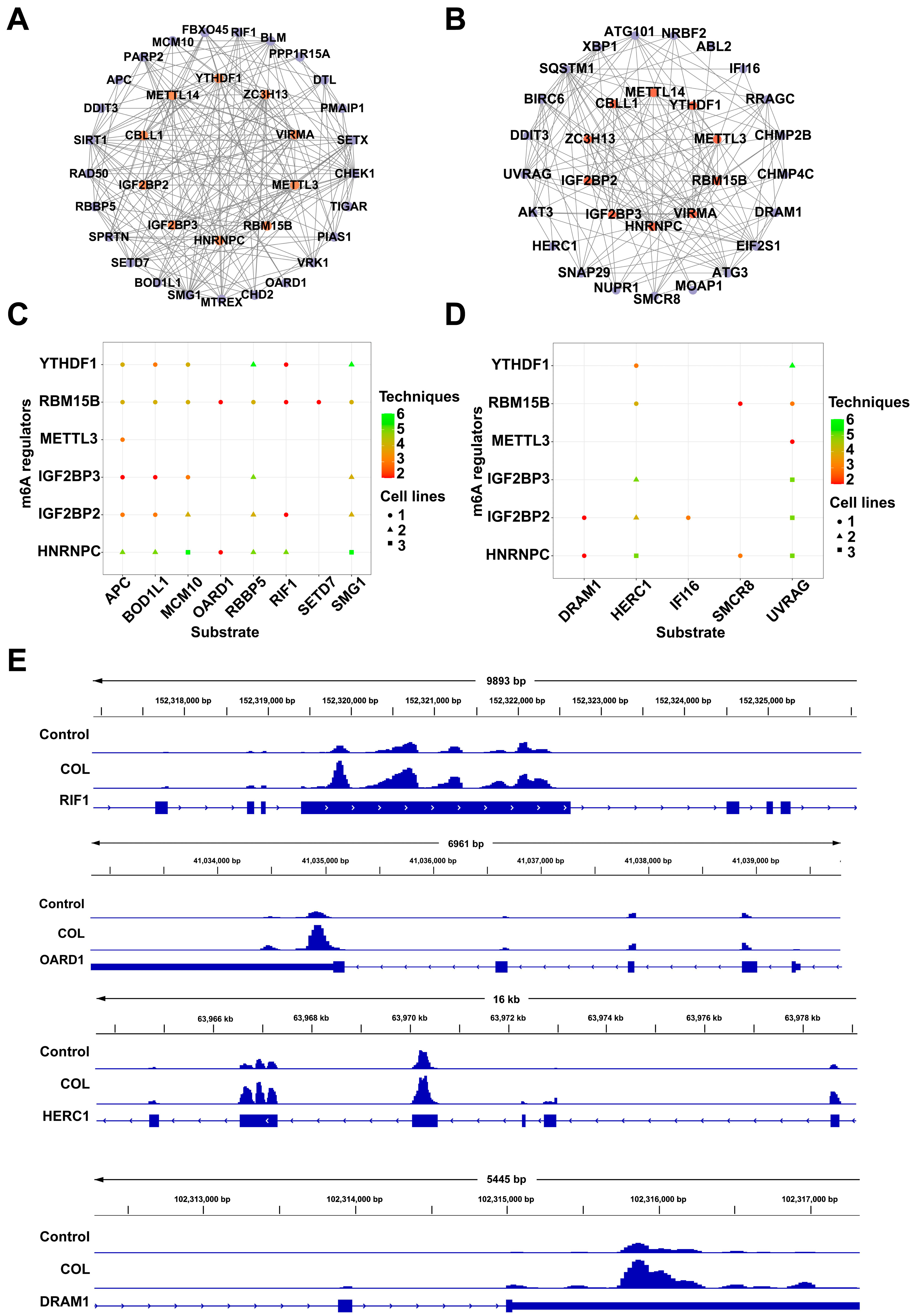 Toxins 17 00408 g010 Toxins 17 00408 g010