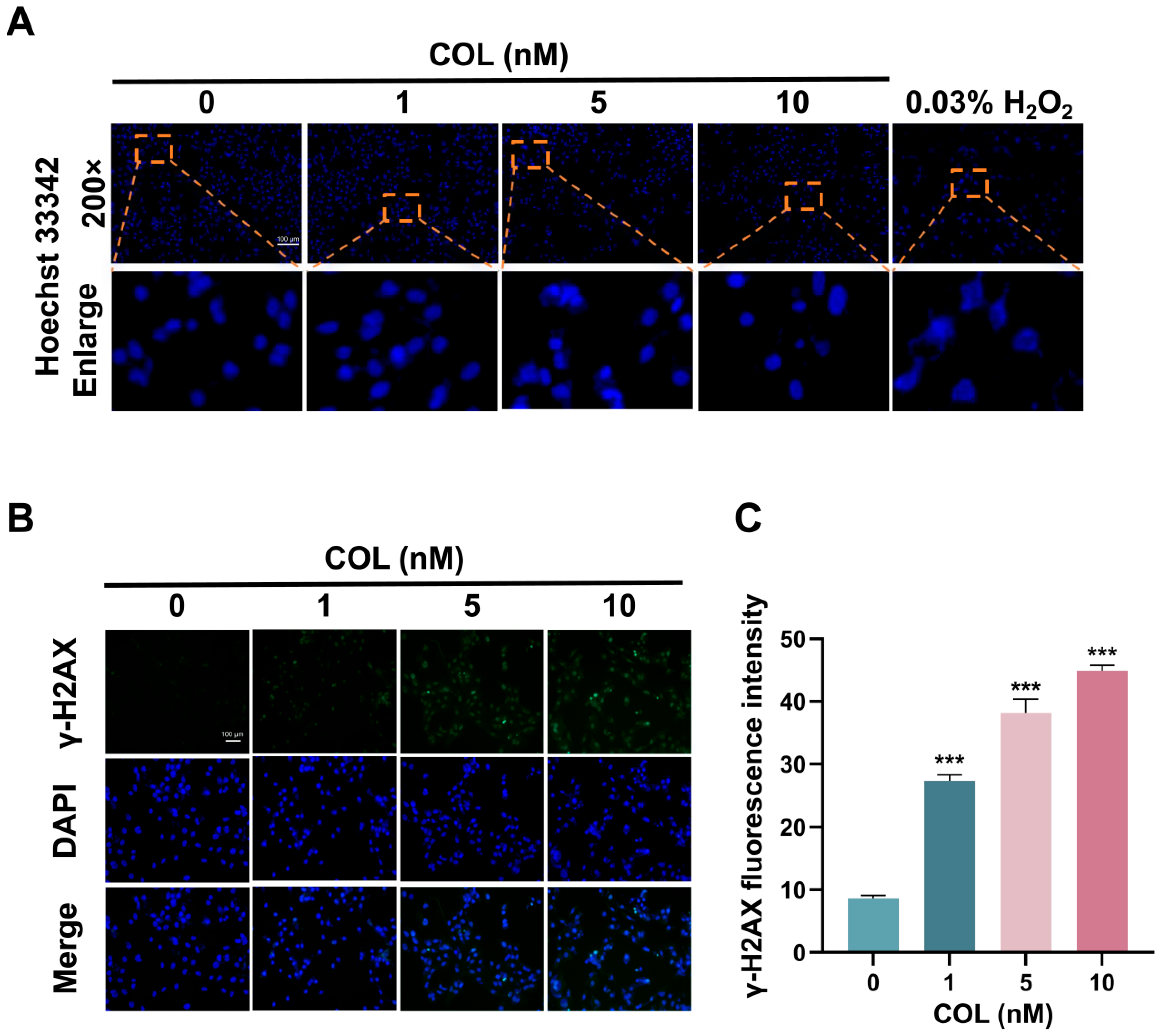 Toxins 17 00408 g011 Toxins 17 00408 g011