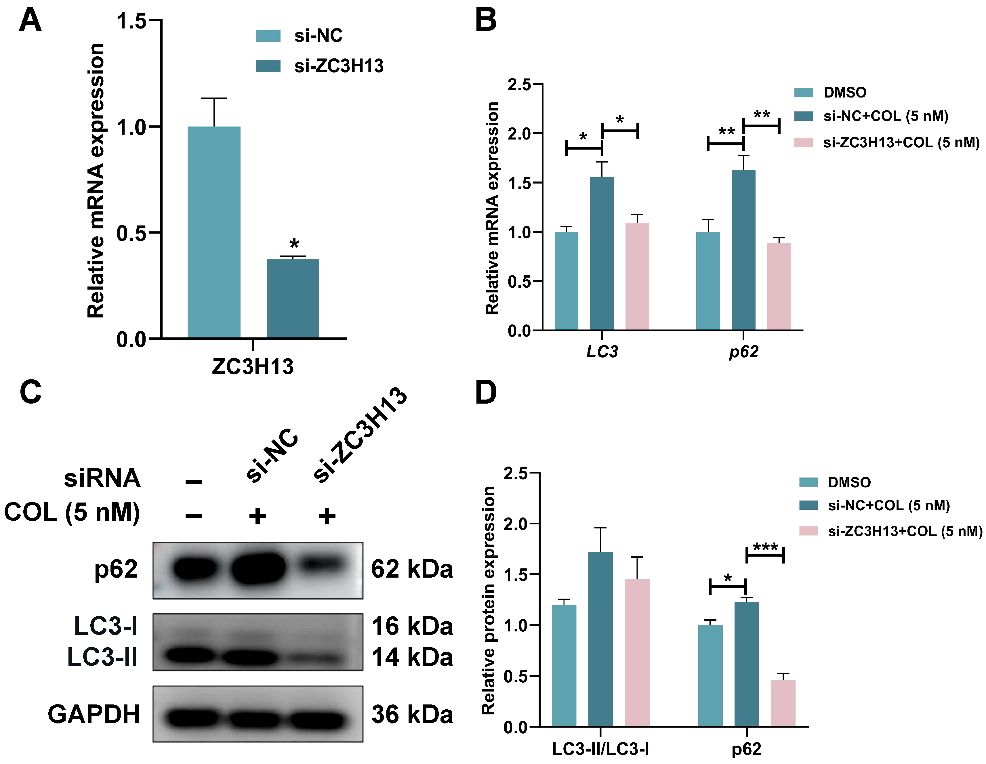 Toxins 17 00408 g013 Toxins 17 00408 g013