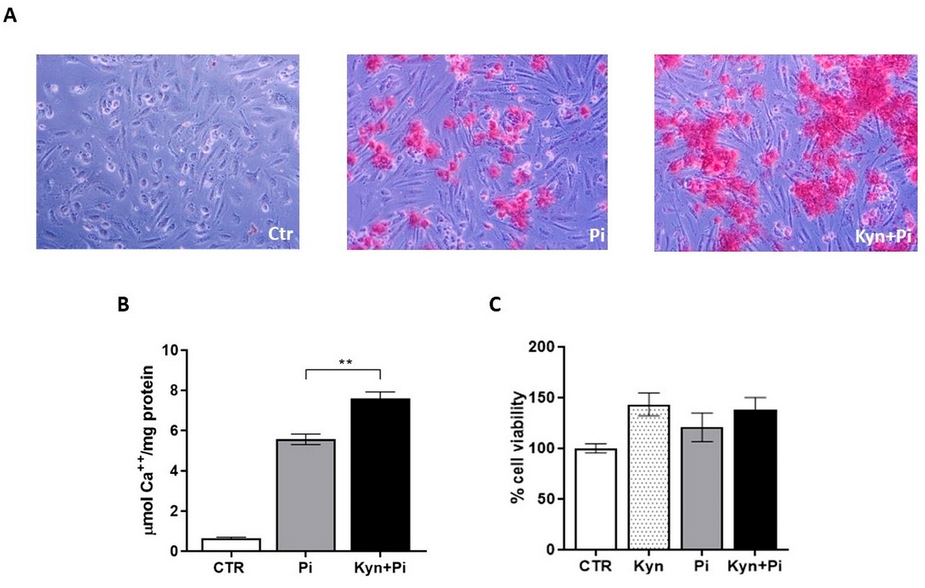 Toxins 17 00421 g001