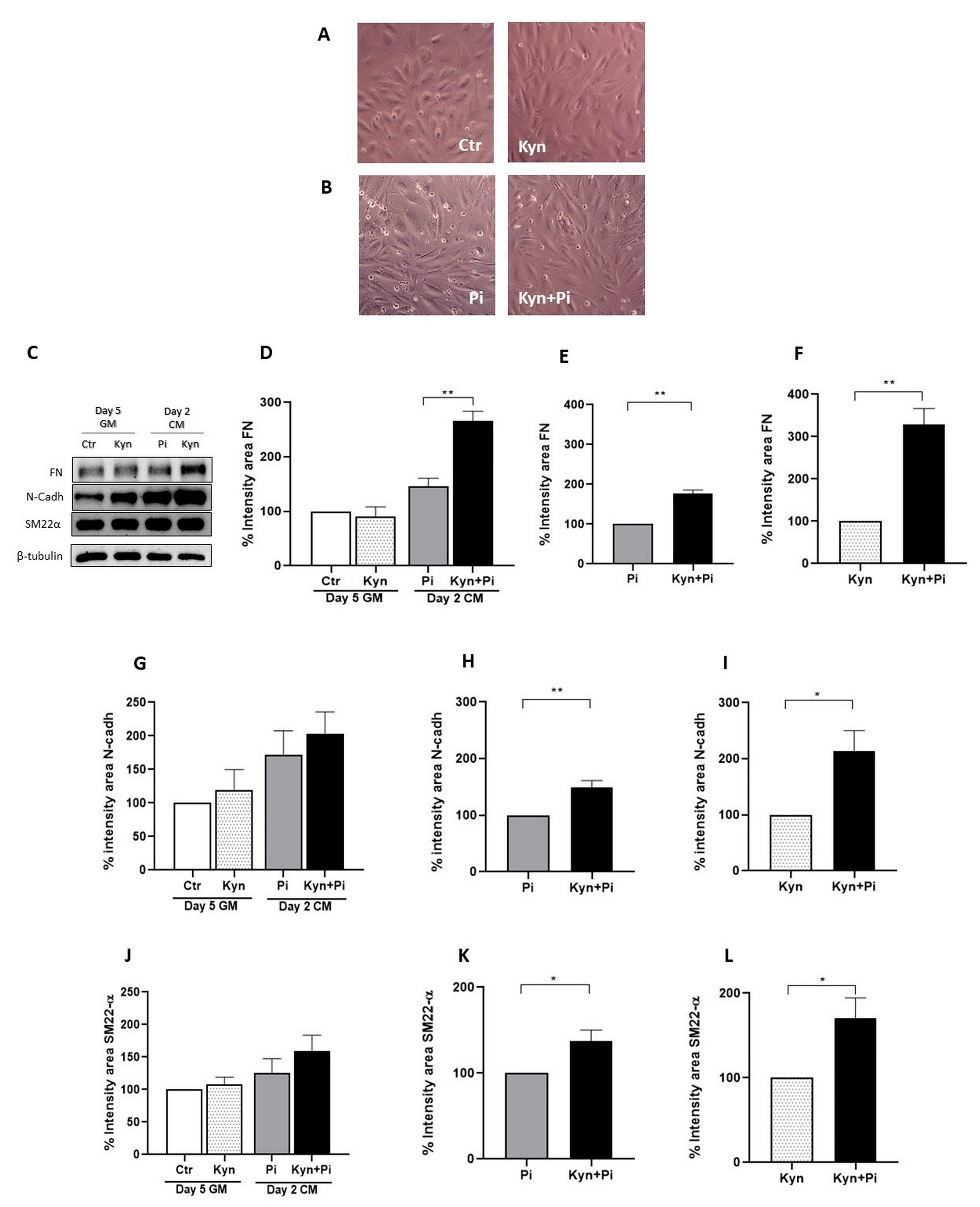 Toxins 17 00421 g002