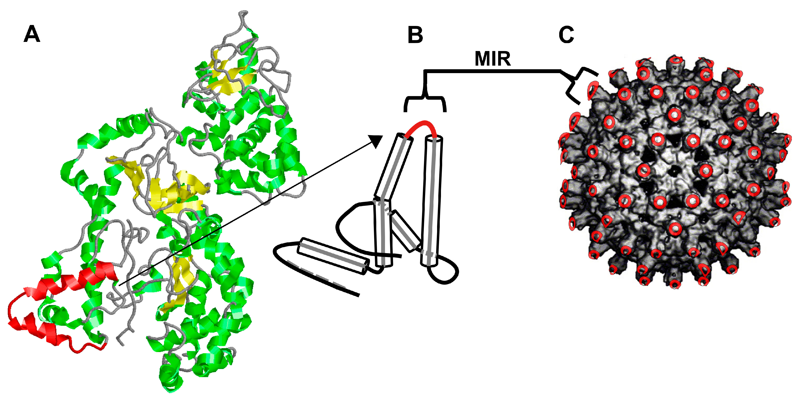 Toxins 17 00422 g001 Toxins 17 00422 g001