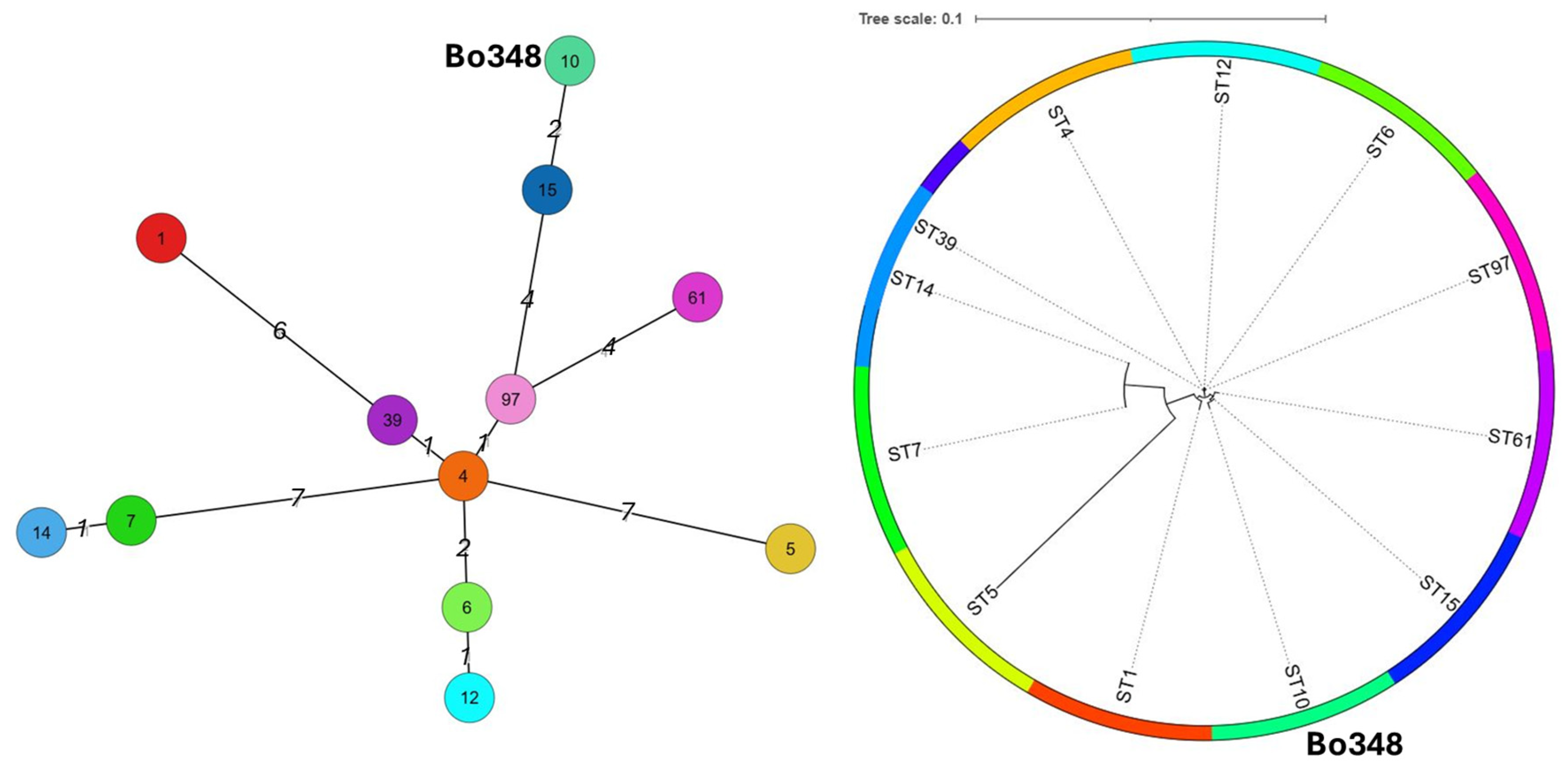 Toxins 17 00429 g003