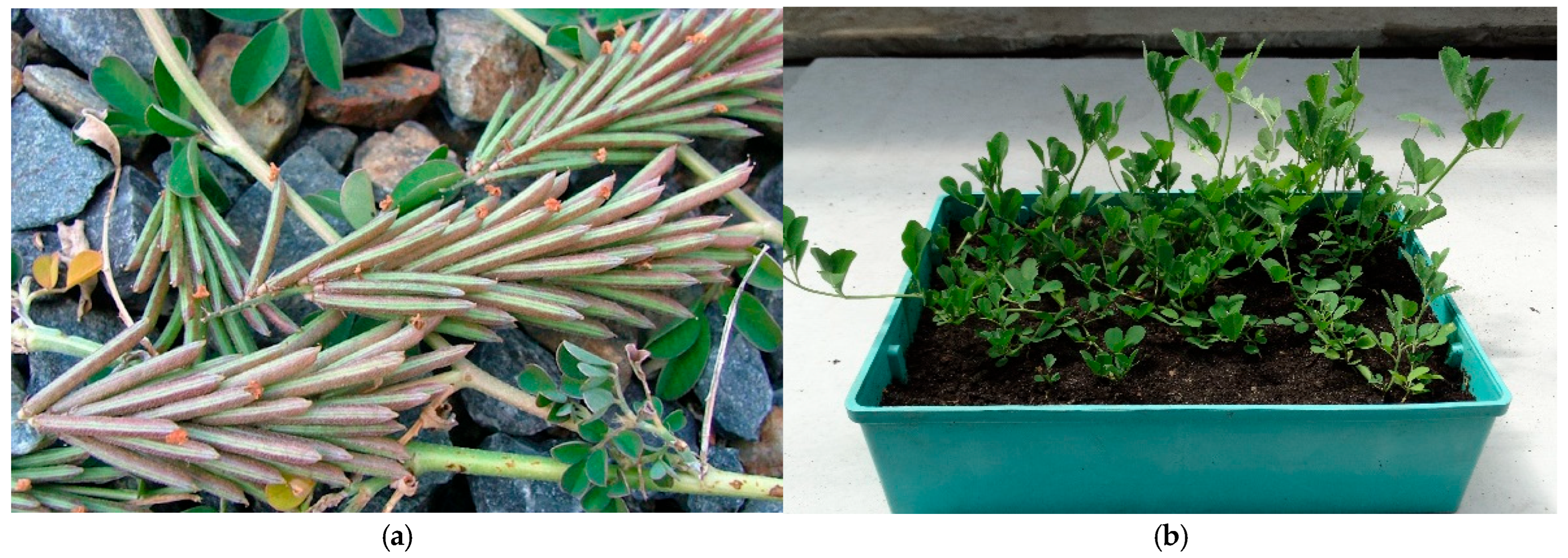 Toxins 17 00431 g001