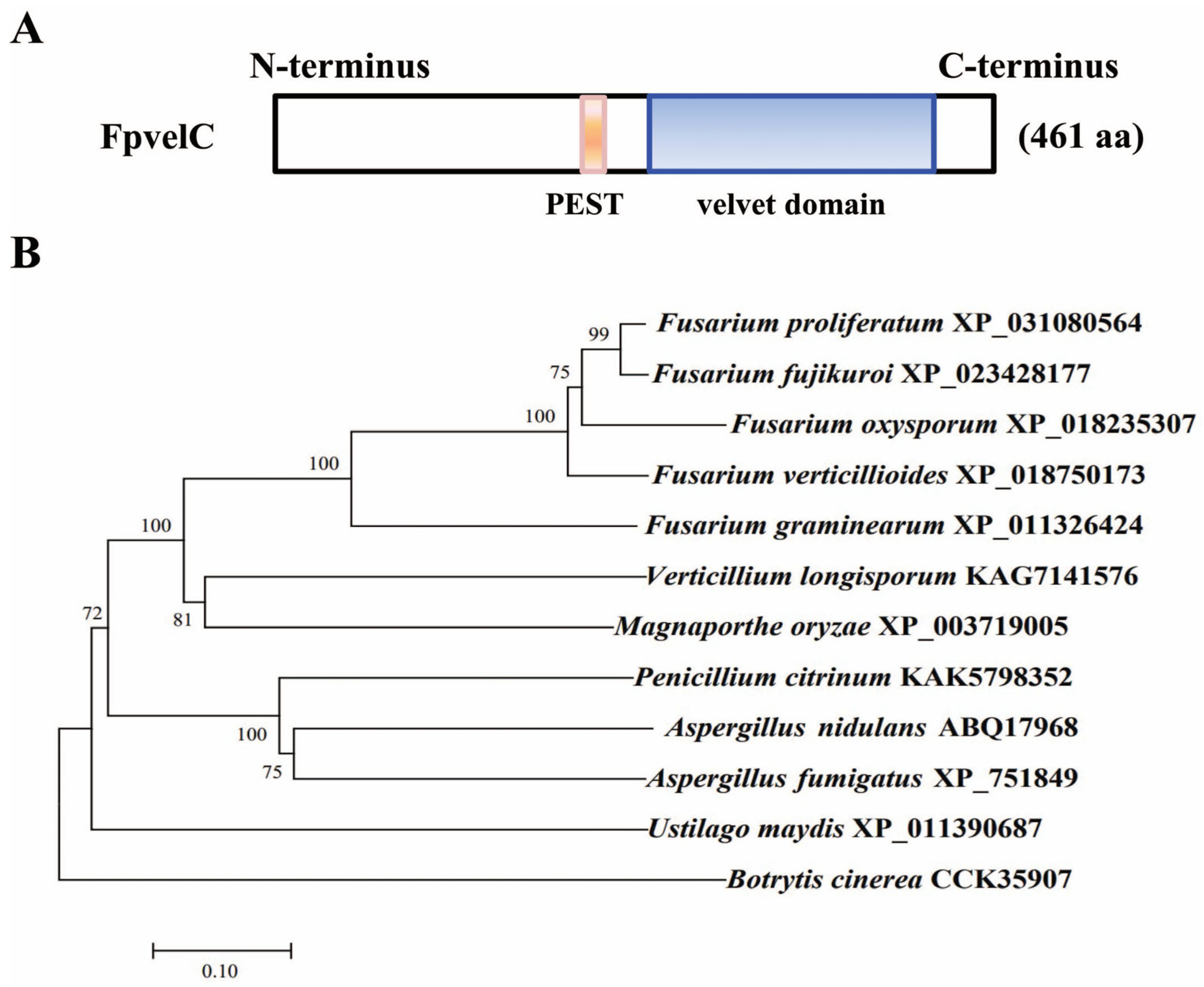Toxins 17 00433 g001