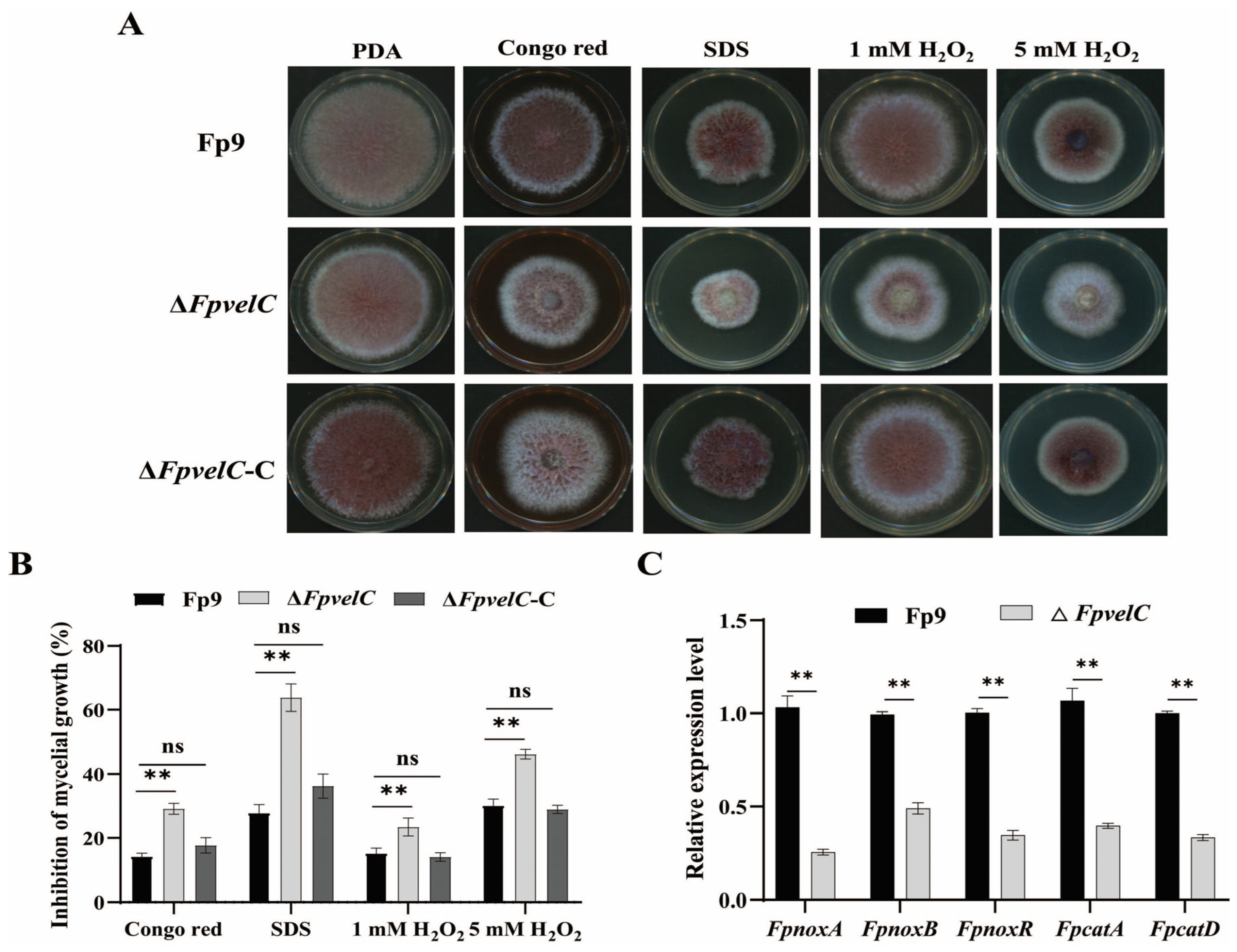 Toxins 17 00433 g003