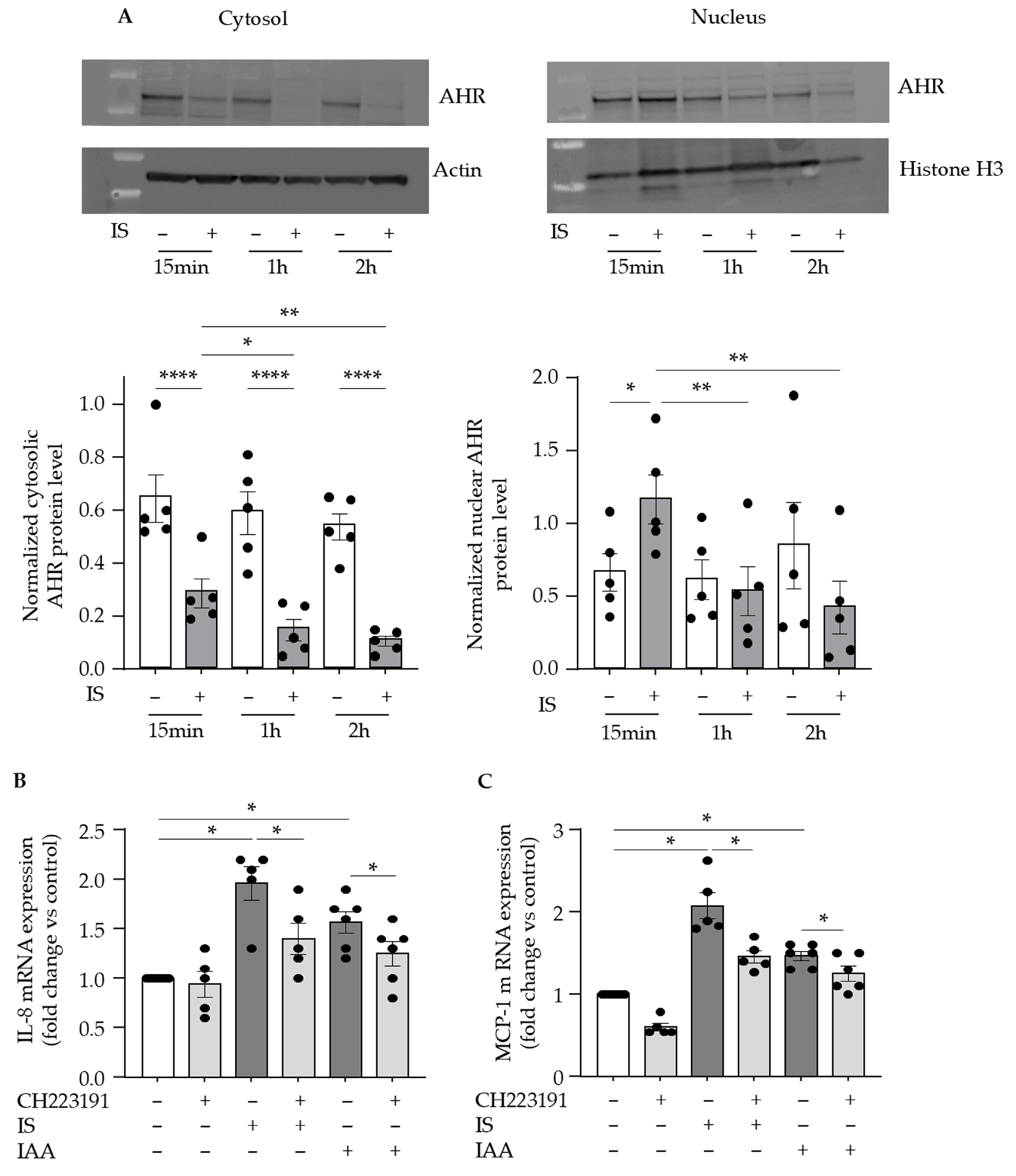 Toxins 17 00434 g002