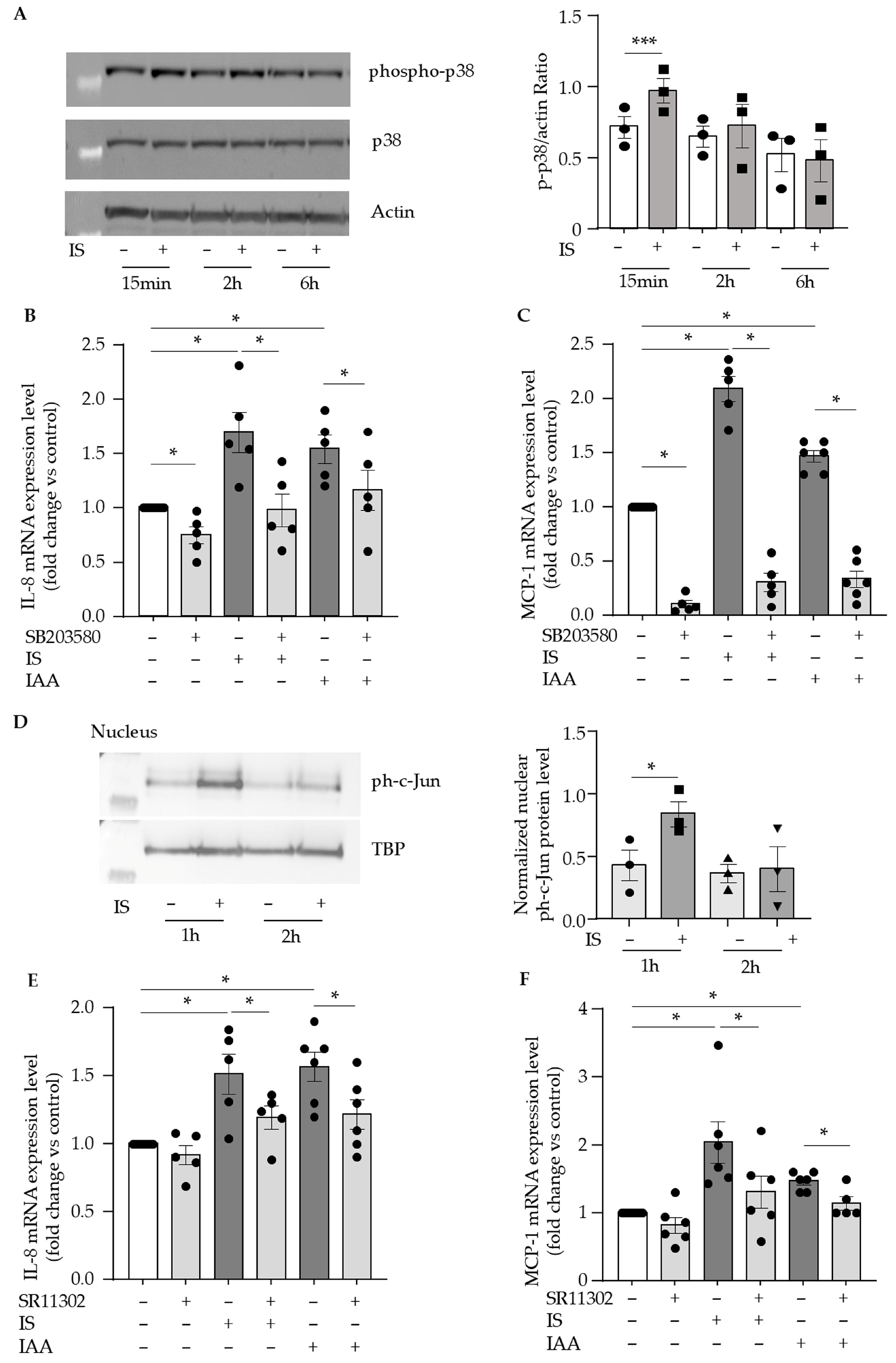 Toxins 17 00434 g004