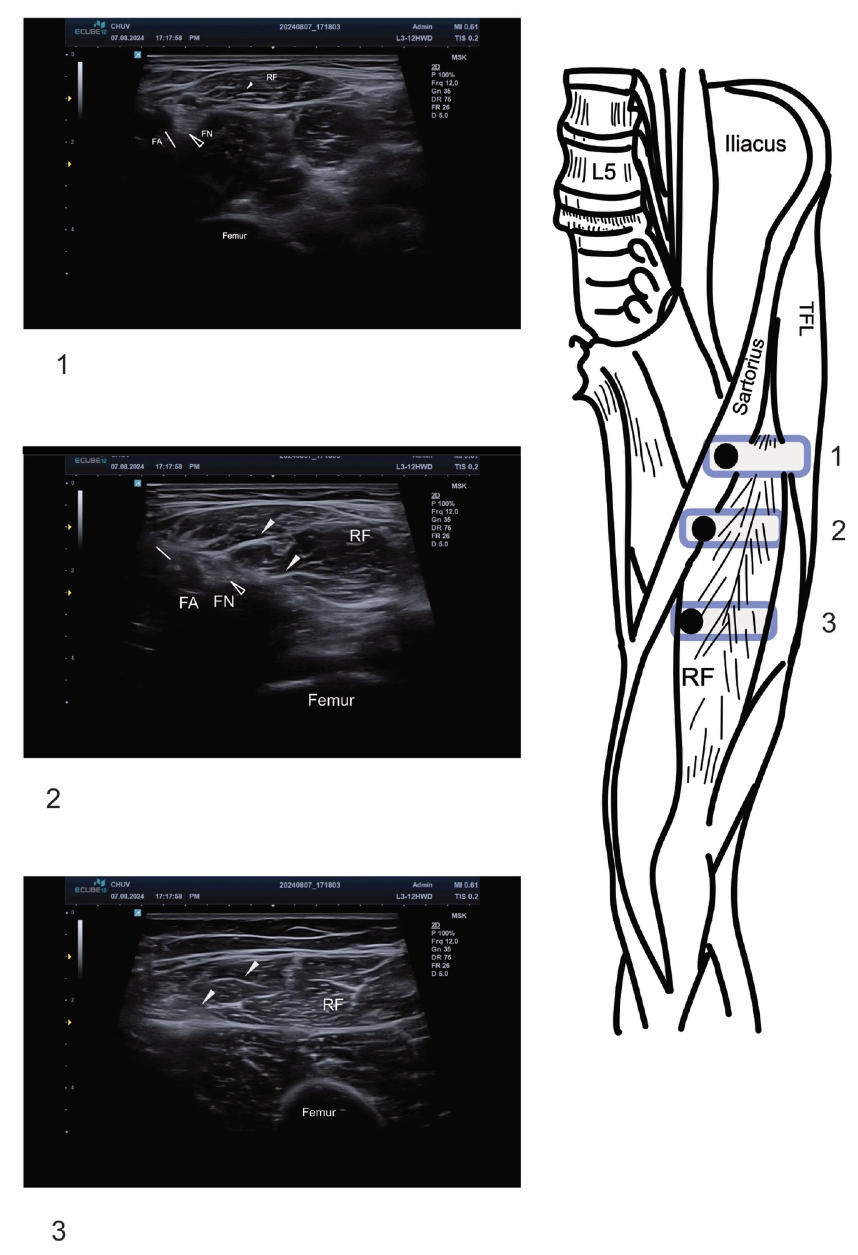 Toxins 17 00437 g001