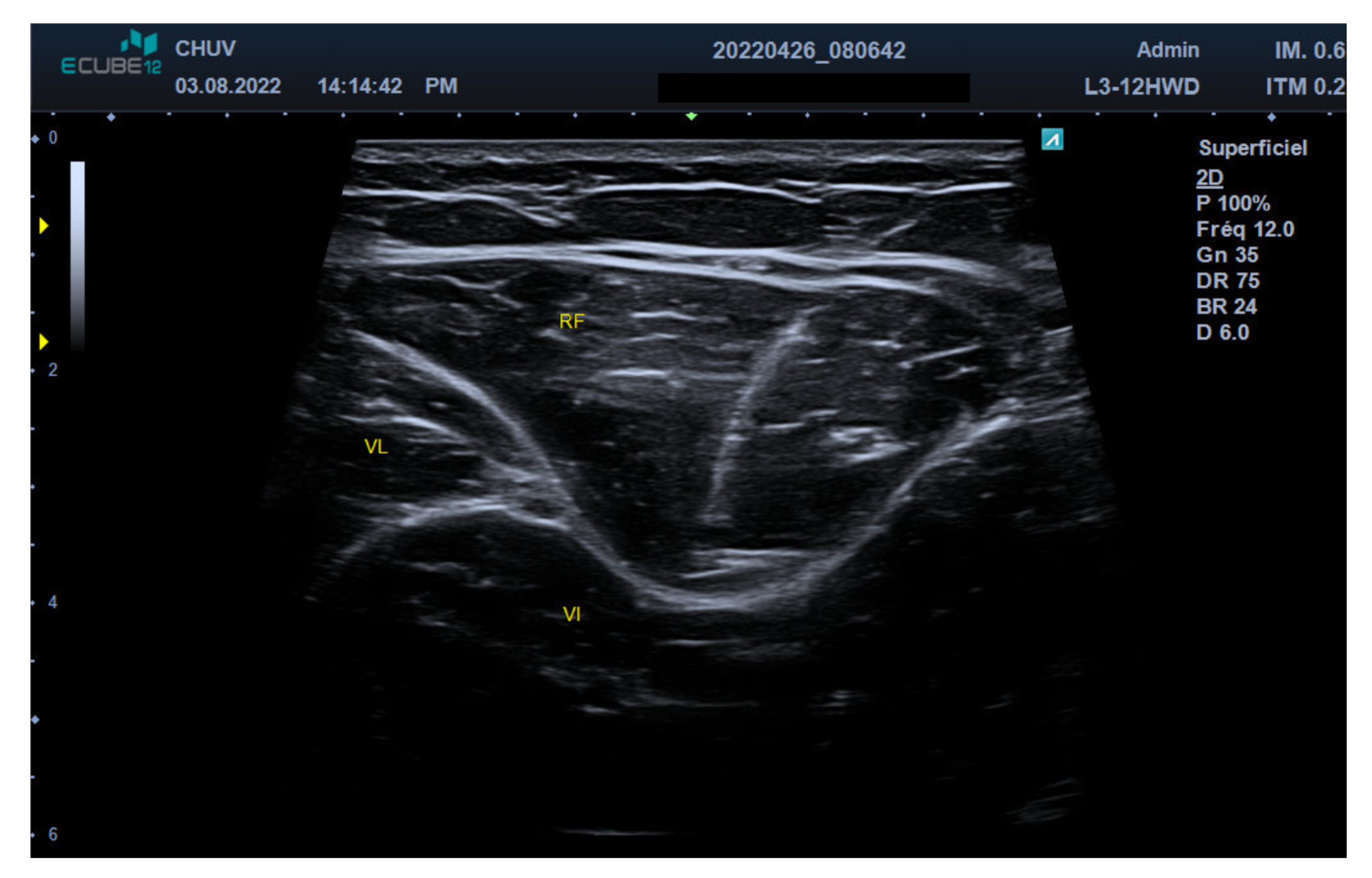 Toxins 17 00437 g002