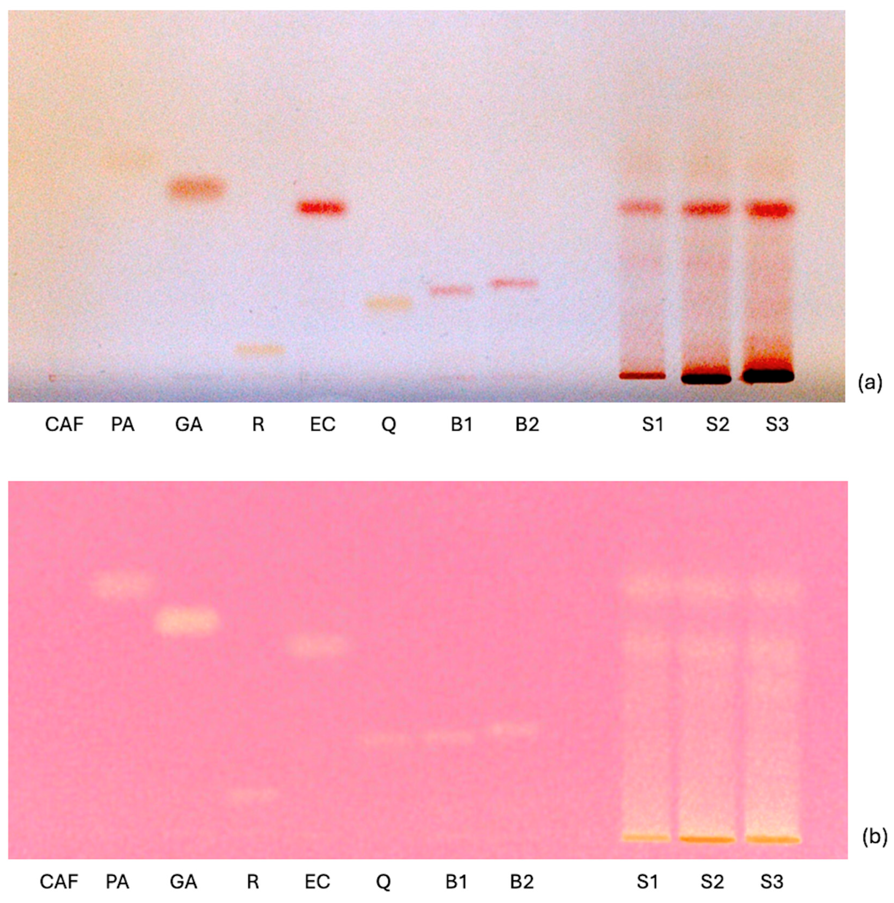 Toxins 17 00441 g003 Toxins 17 00441 g003