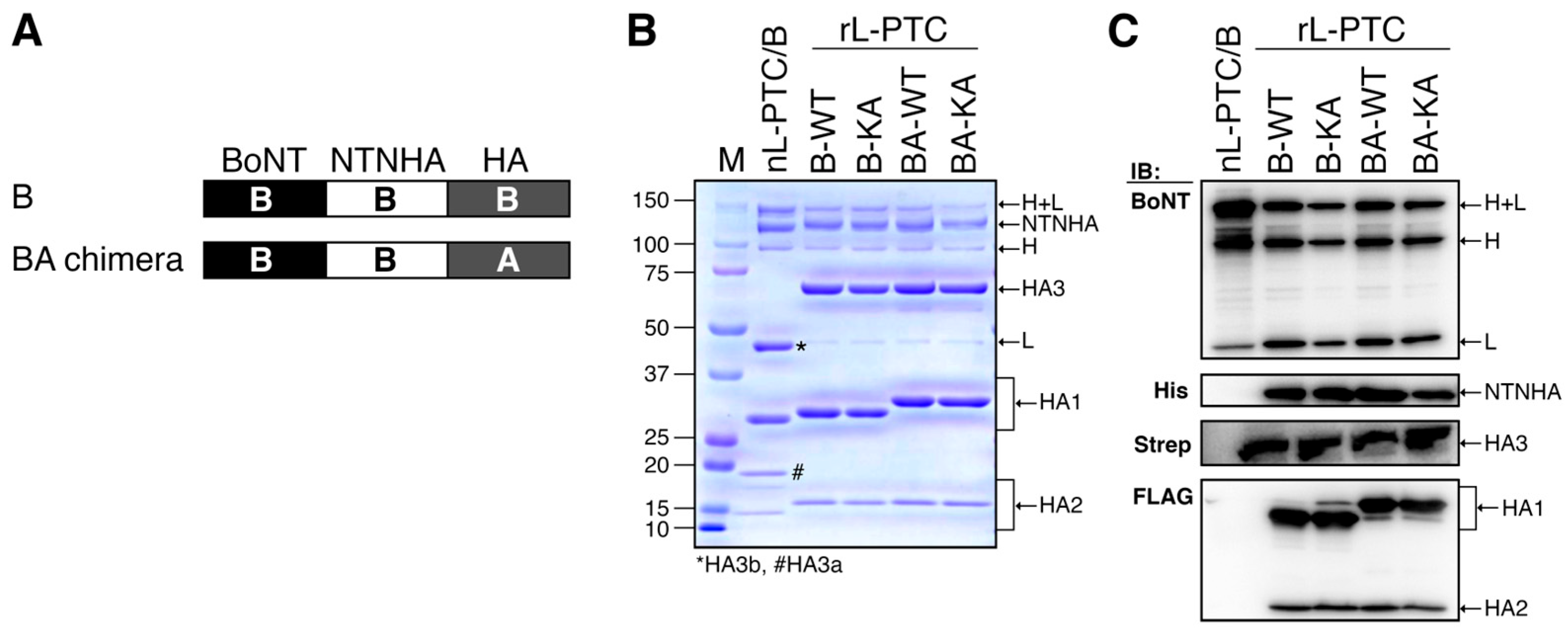 Toxins 17 00443 g002
