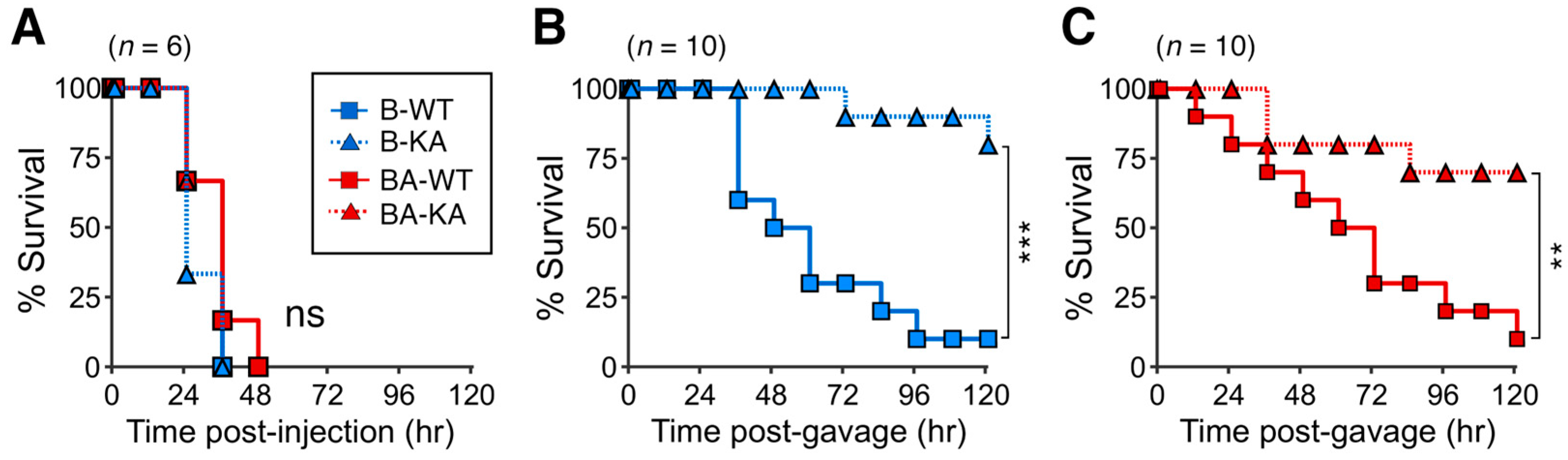 Toxins 17 00443 g005