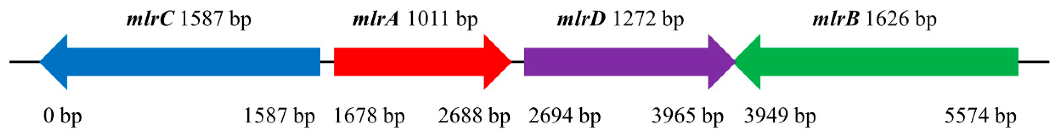 Toxins 17 00446 g001