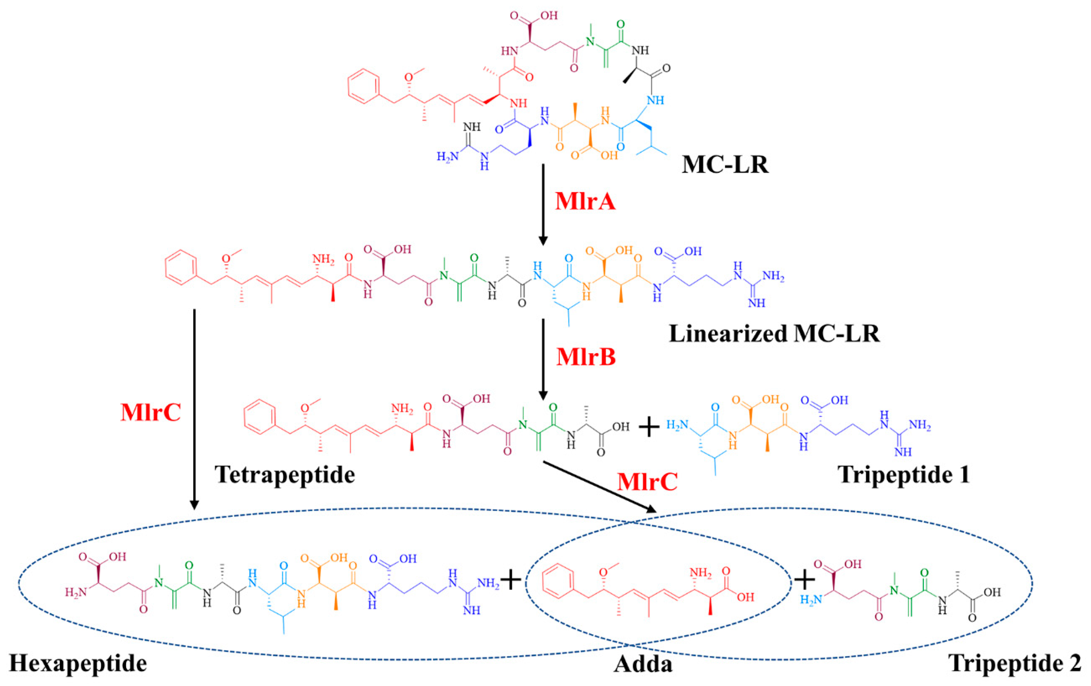 Toxins 17 00446 g004