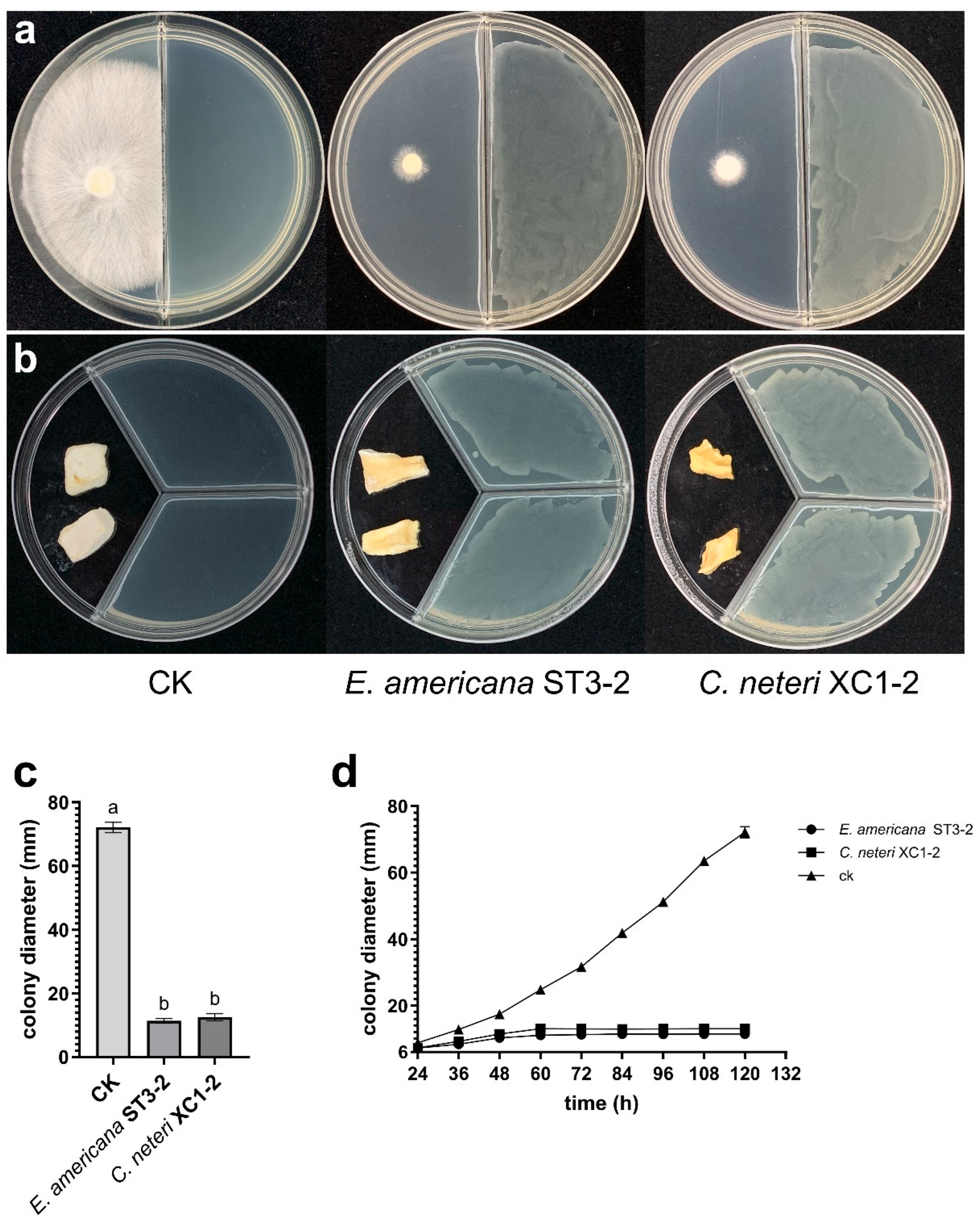 Toxins 17 00449 g002