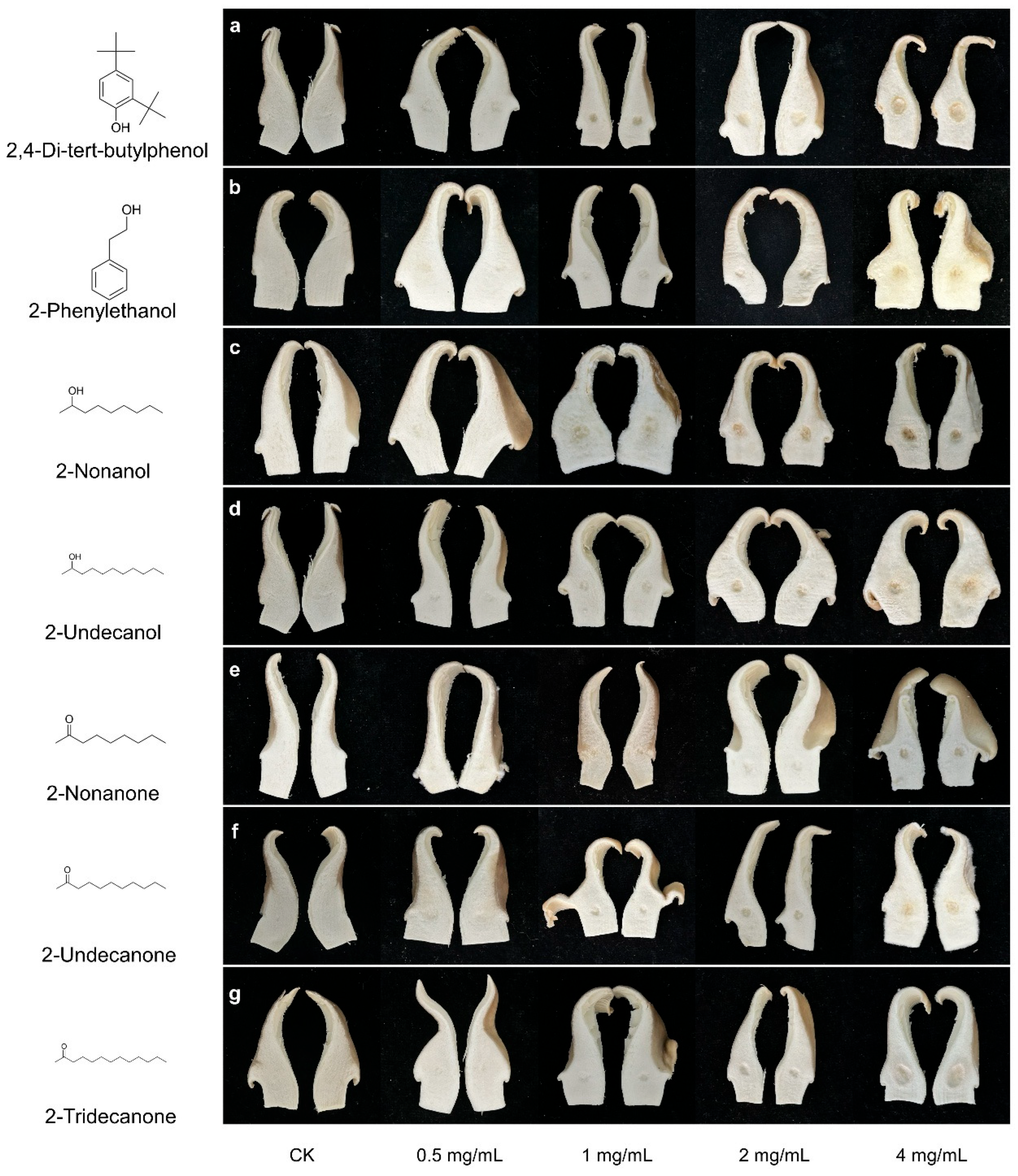 Toxins 17 00449 g004