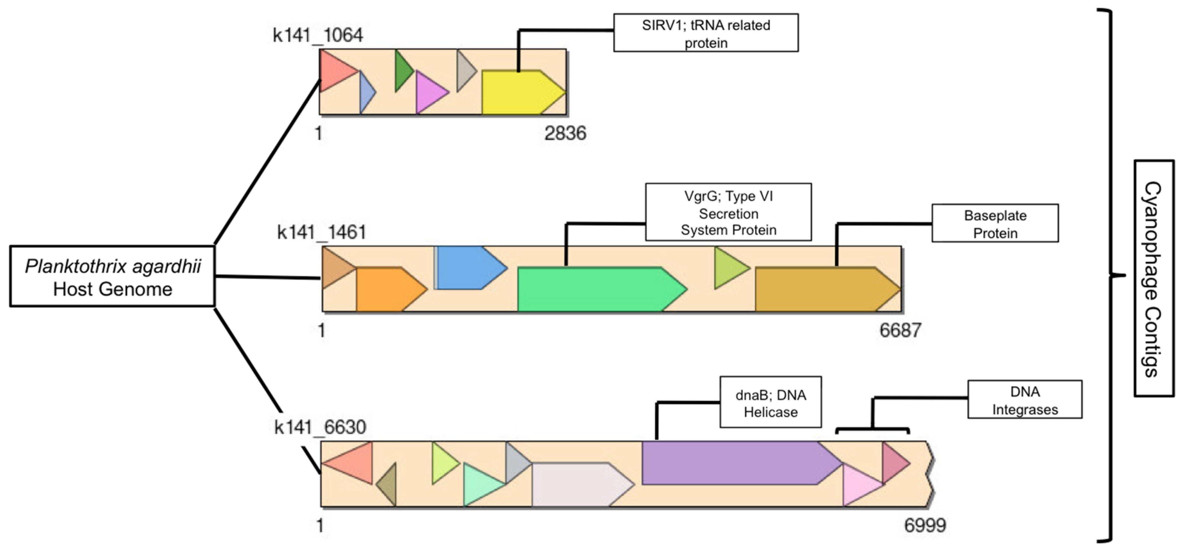 Toxins 17 00450 g007 Toxins 17 00450 g007