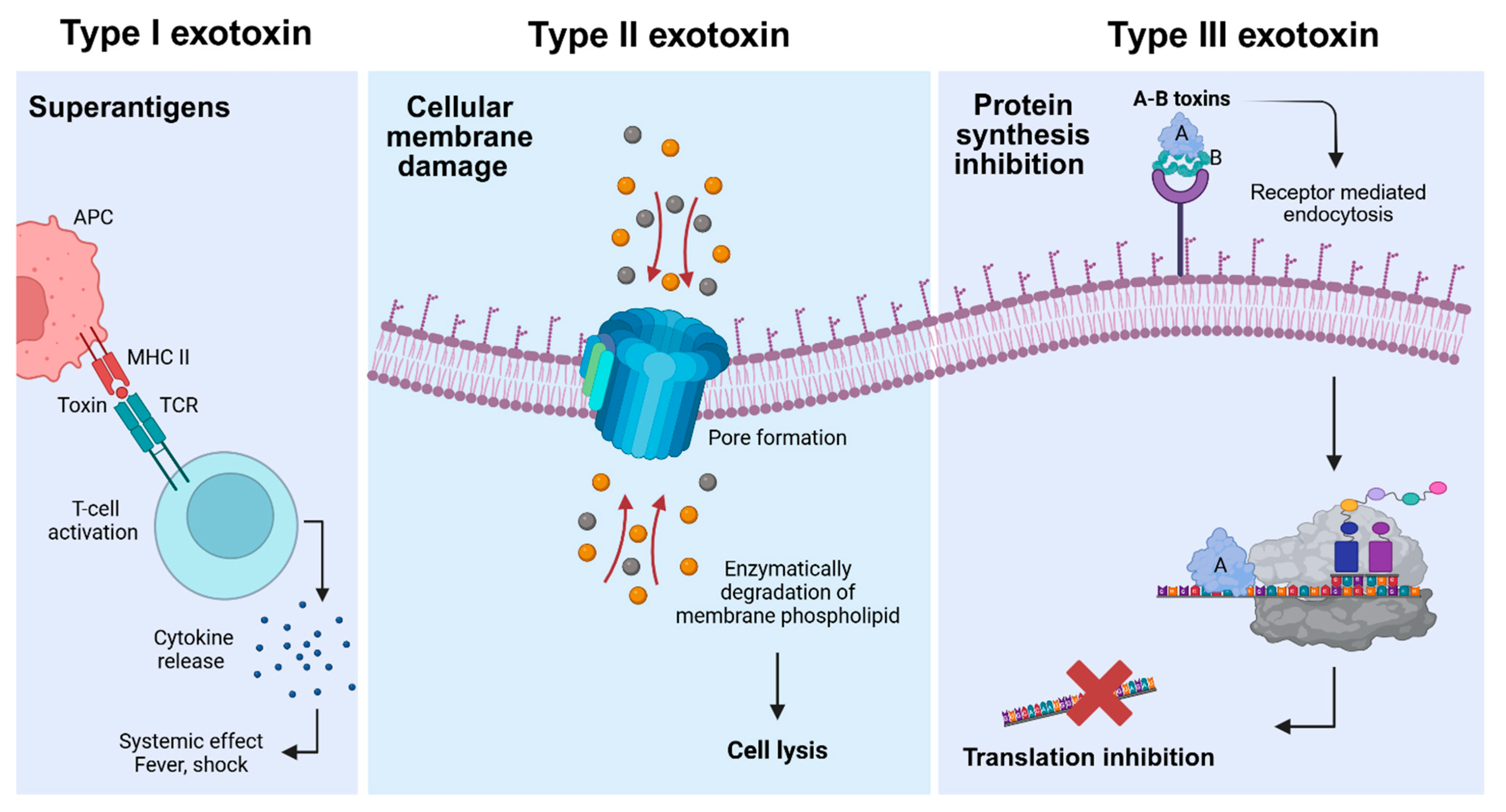 Toxins 17 00459 g001 Toxins 17 00459 g001