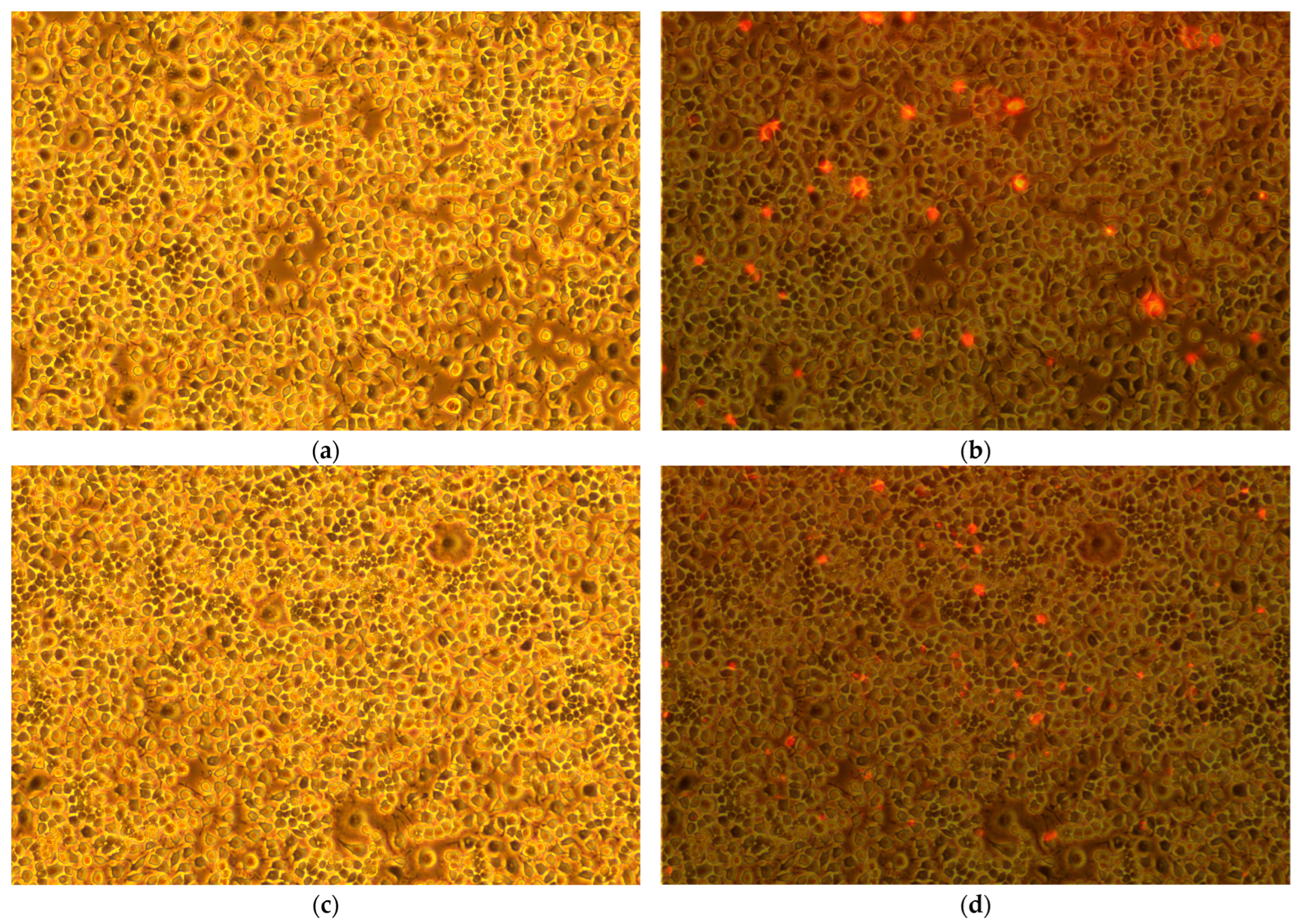 Toxins 17 00462 g001 Toxins 17 00462 g001