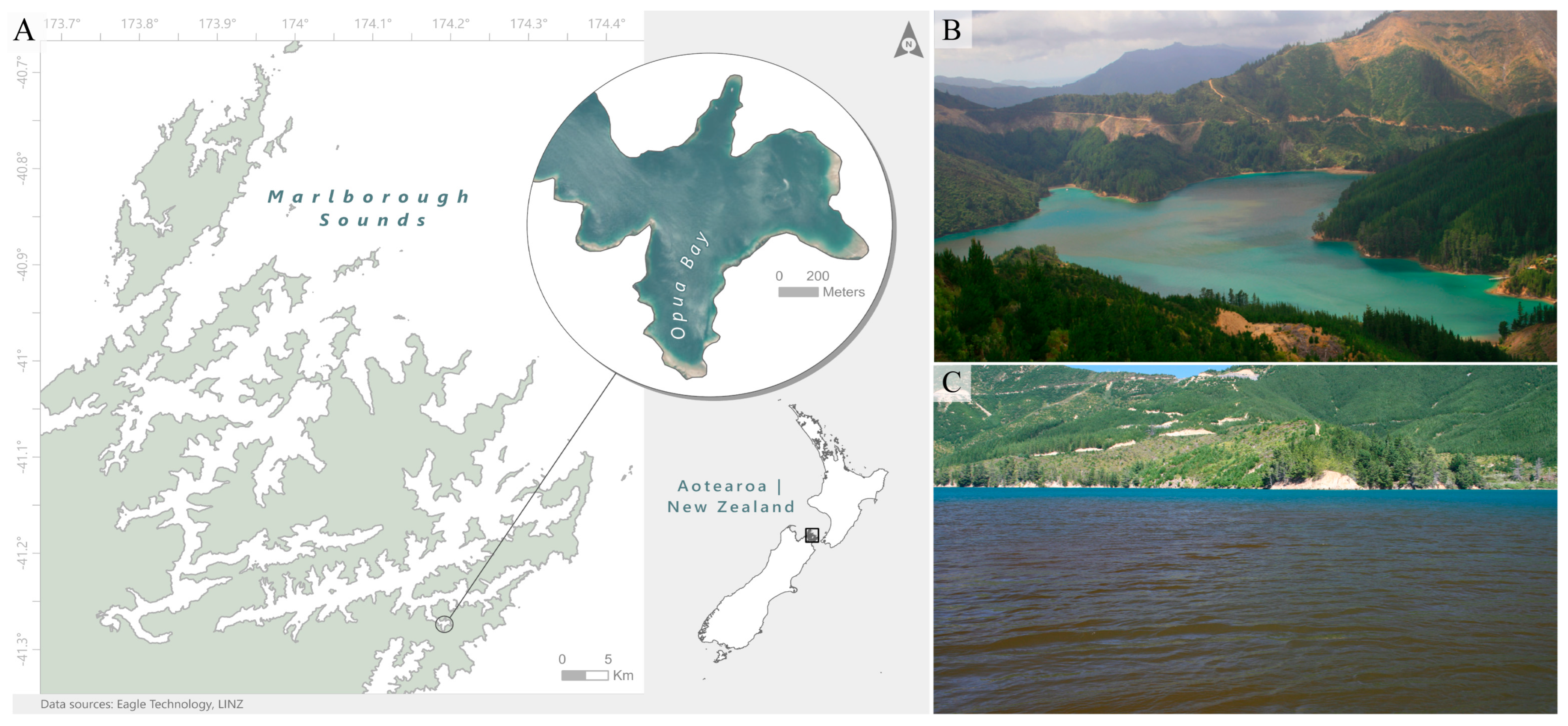Toxins 17 00465 g006 Toxins 17 00465 g006