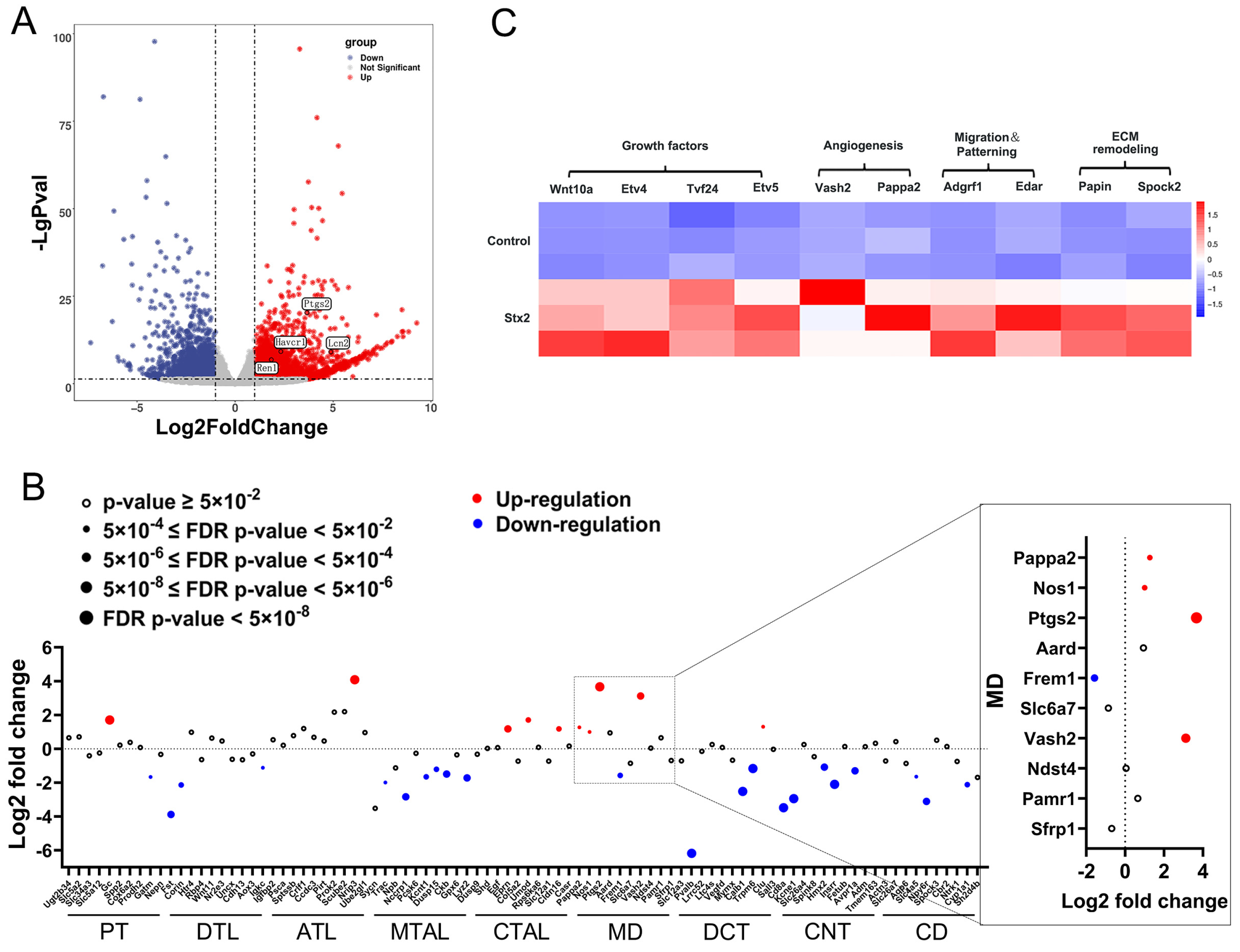 Toxins 17 00470 g001 Toxins 17 00470 g001