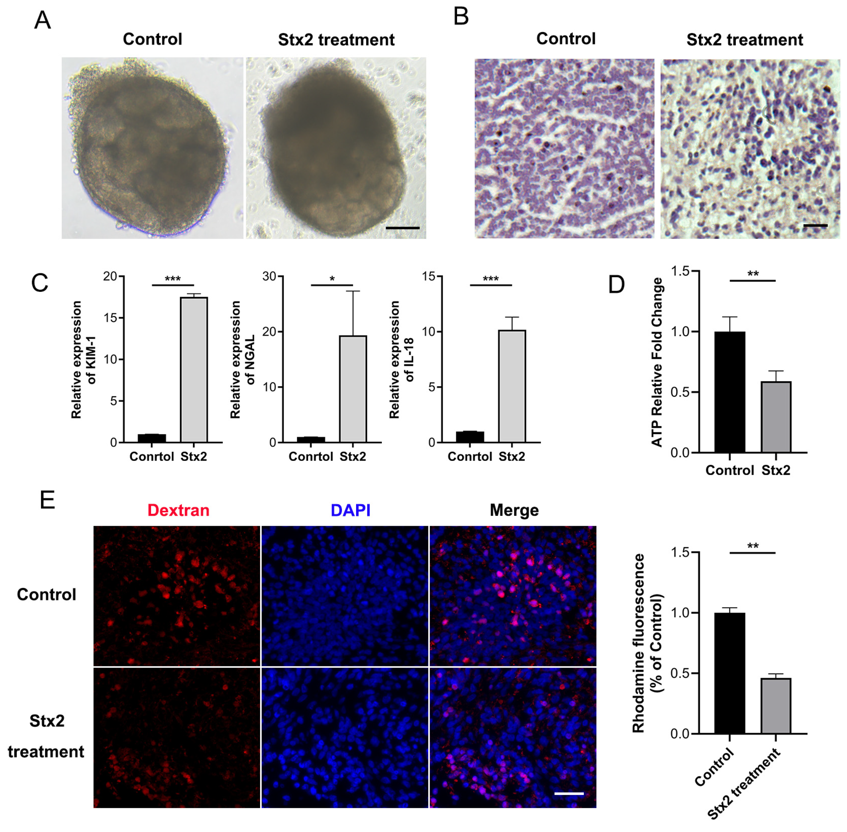 Toxins 17 00470 g002 Toxins 17 00470 g002