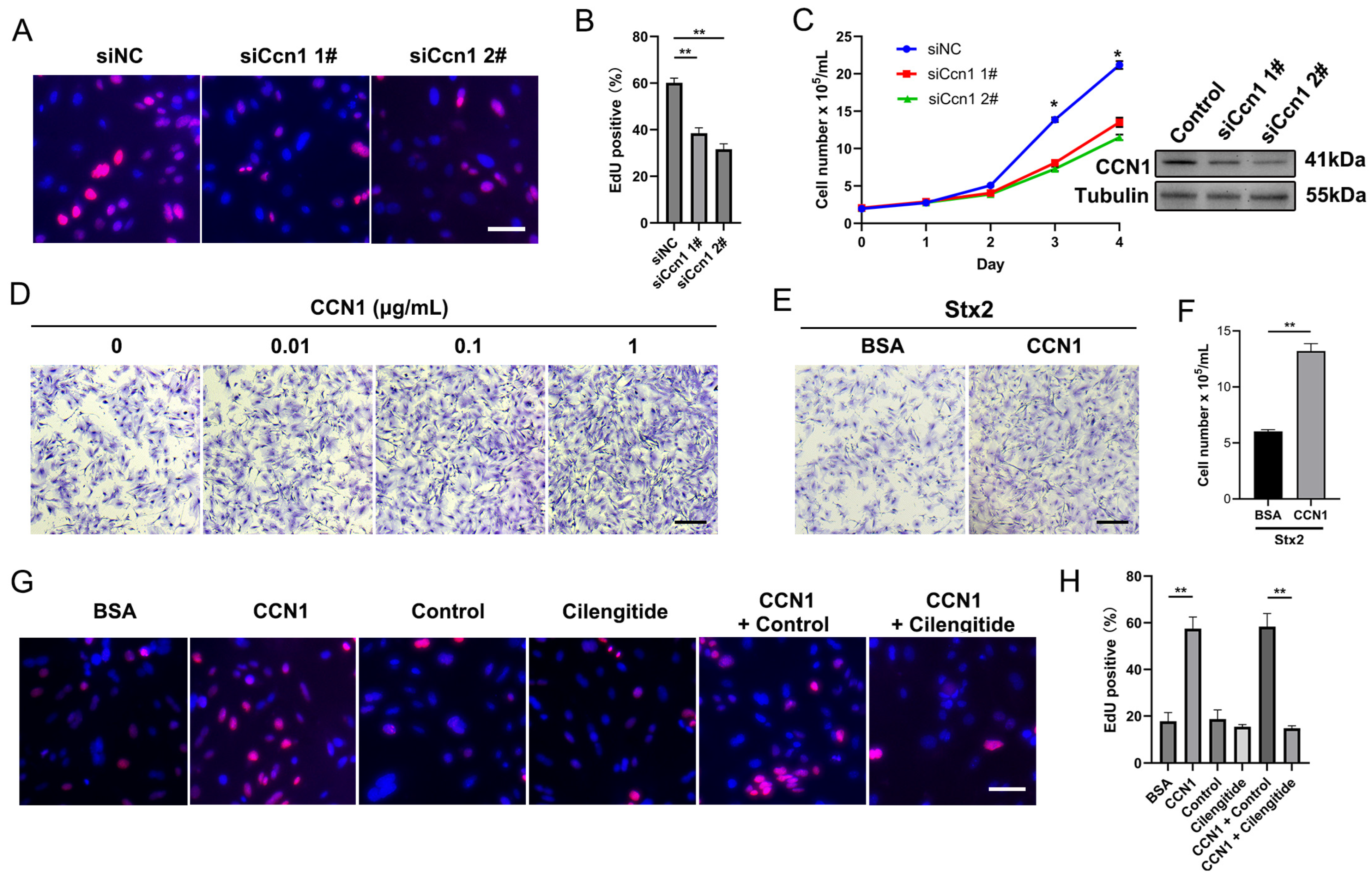 Toxins 17 00470 g004 Toxins 17 00470 g004