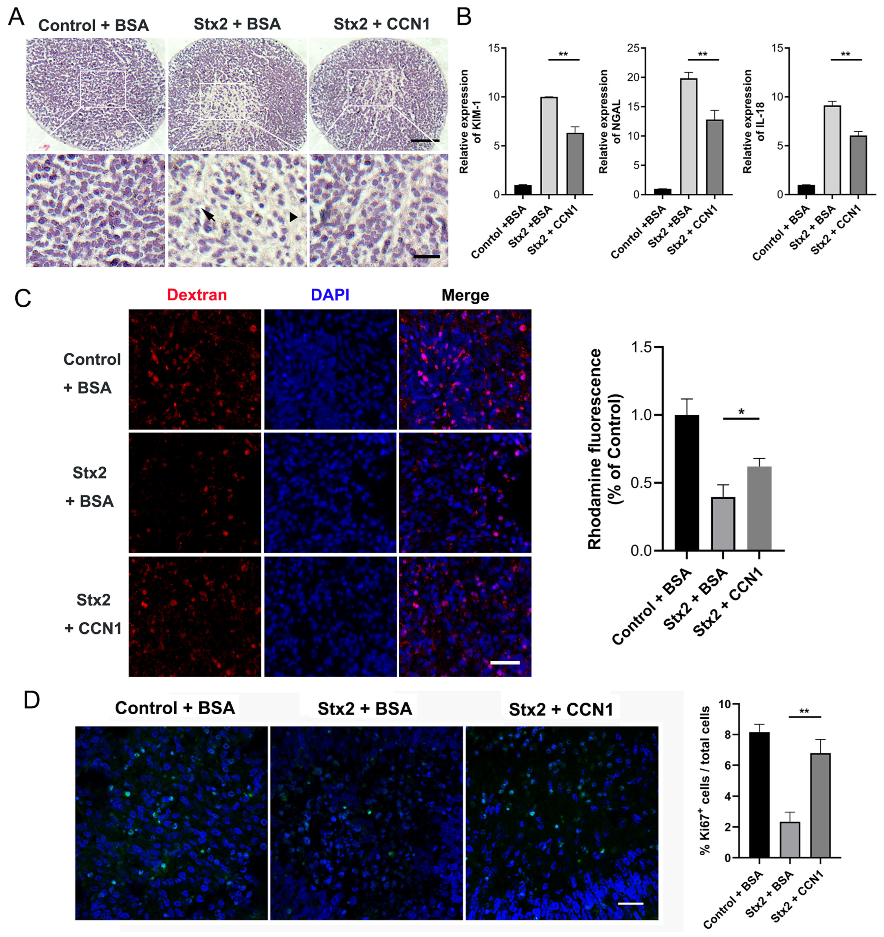 Toxins 17 00470 g005 Toxins 17 00470 g005