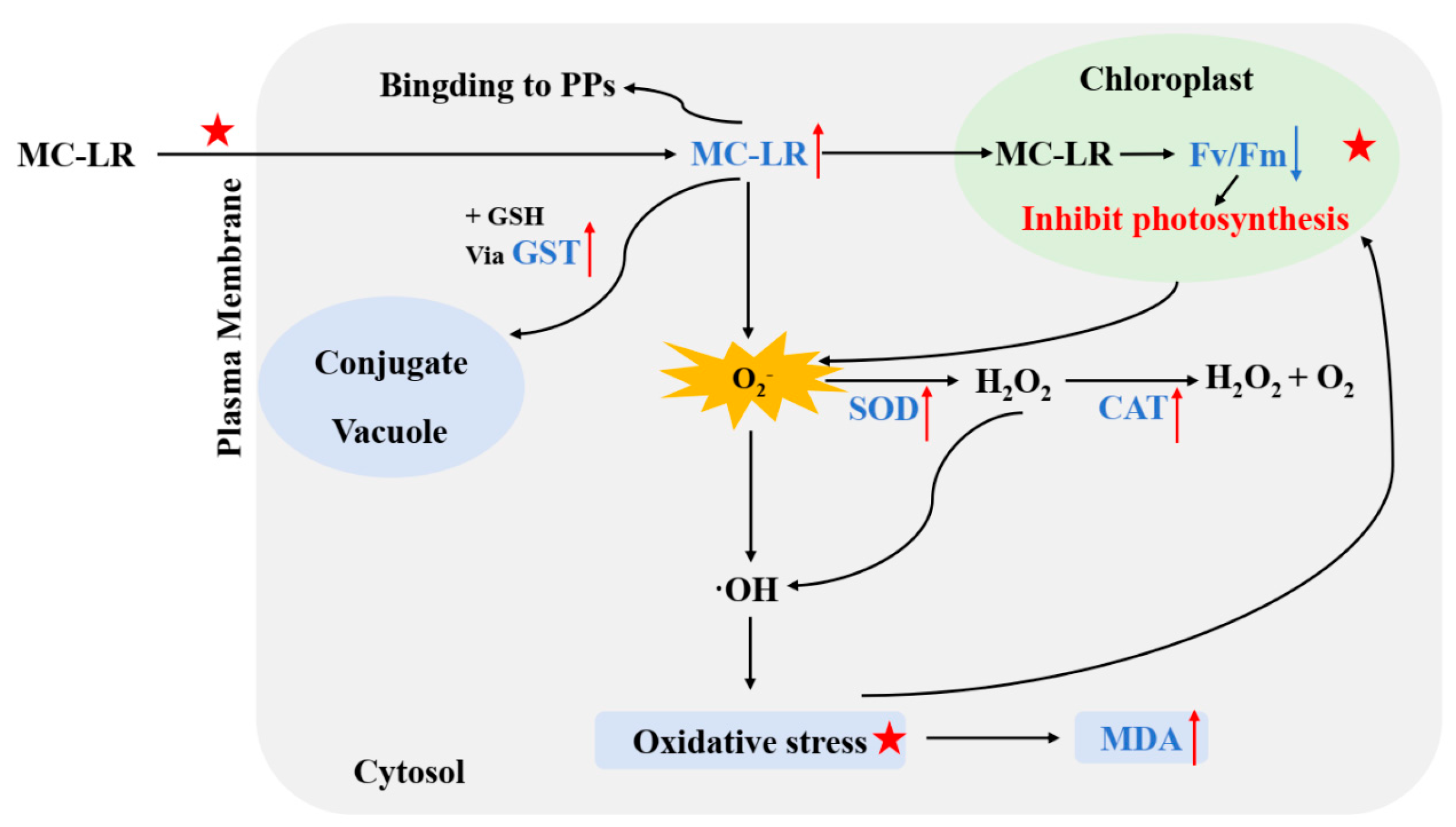 Toxins 17 00472 g004